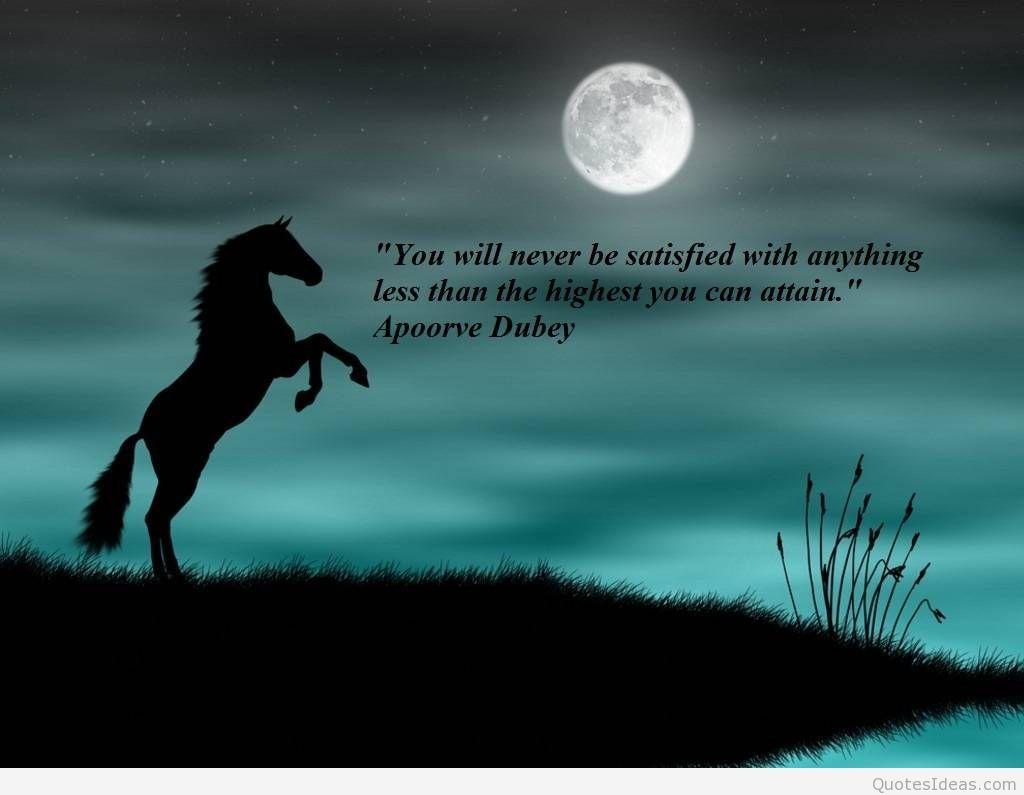 Horse Quotes Wallpapers Top Free Horse Quotes Backgrounds WallpaperAccess