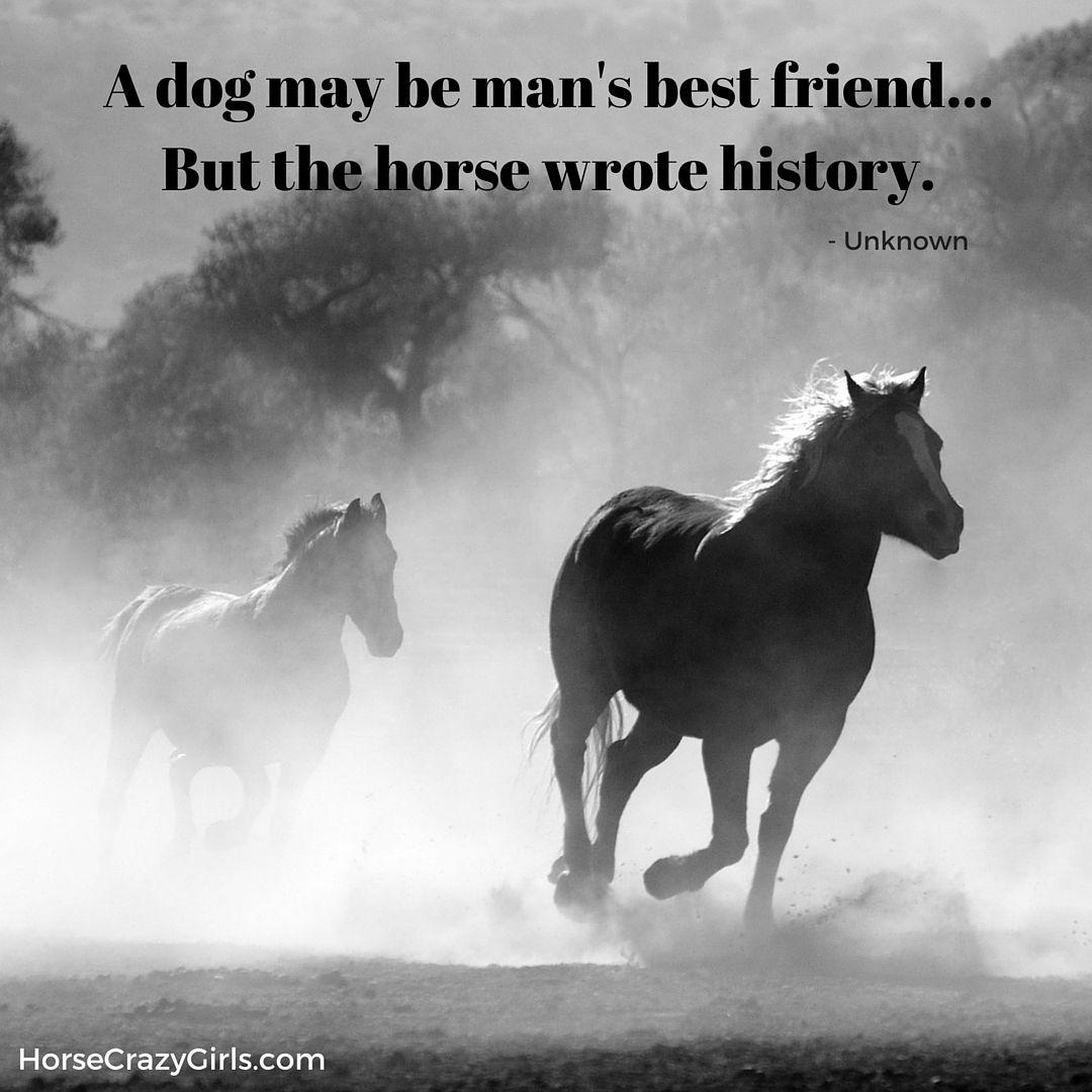 Horse Quotes Wallpapers Top Free Horse Quotes Backgrounds WallpaperAccess