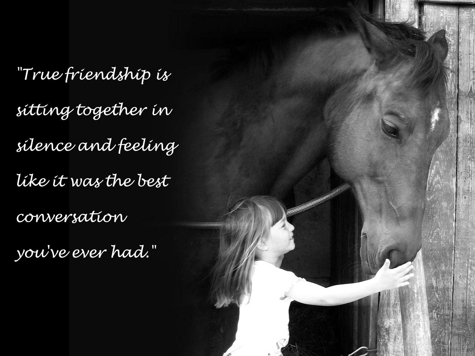 1600x1200 Biblical Horse Quotes. QuotesGram