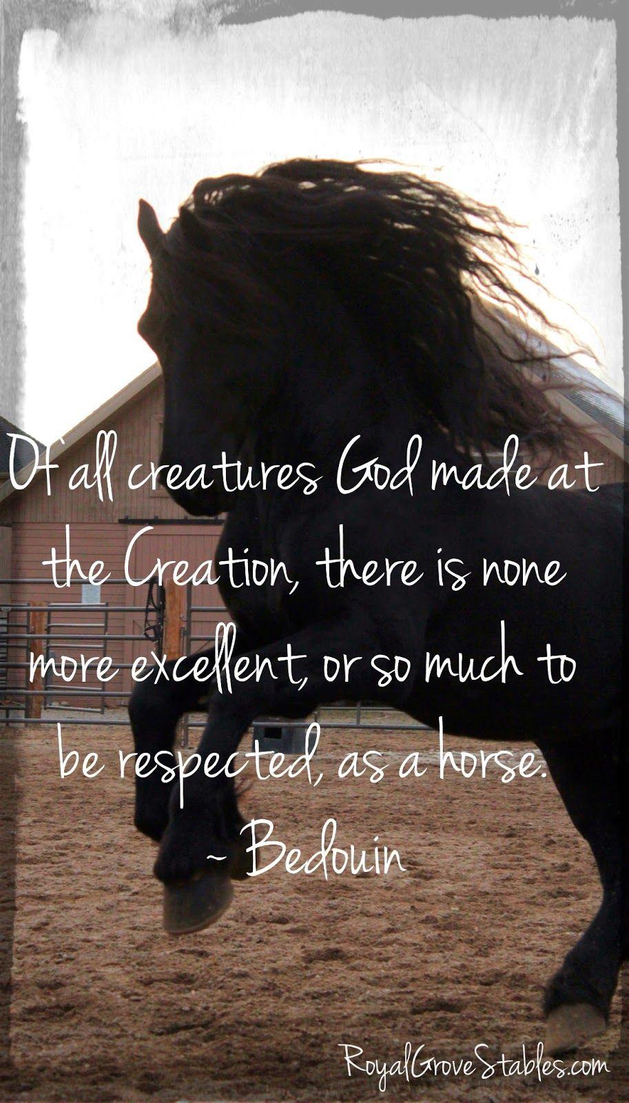 913x1600 Inspirational Horse Quotes For Girls. QuotesGram