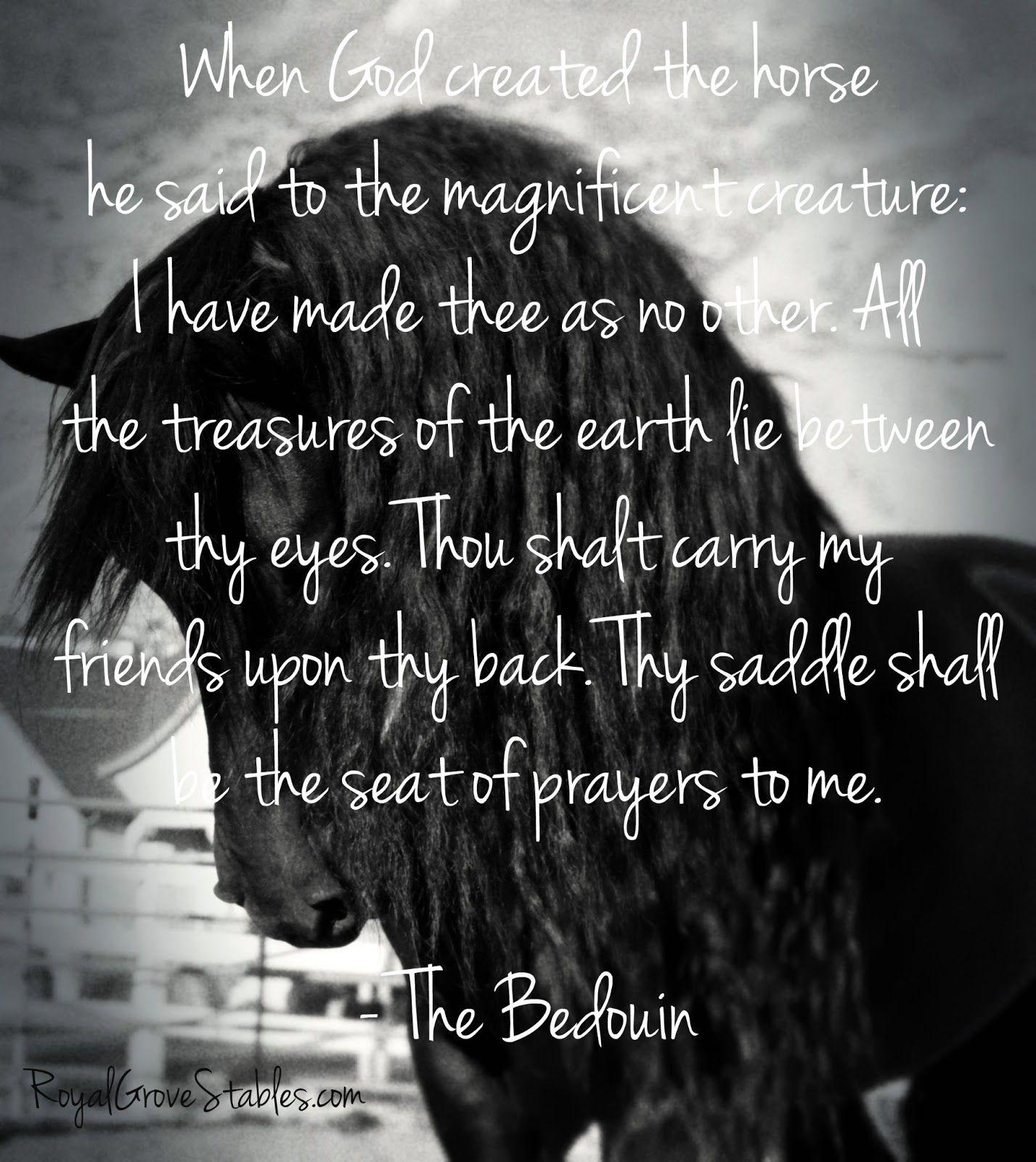 1427x1600 Christian Horse Quotes. QuotesGram