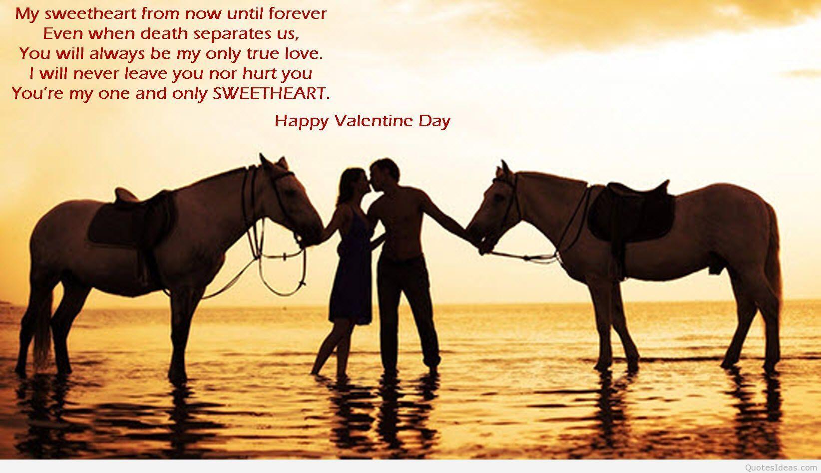 1644x948 Horse Quotes Wallpaper