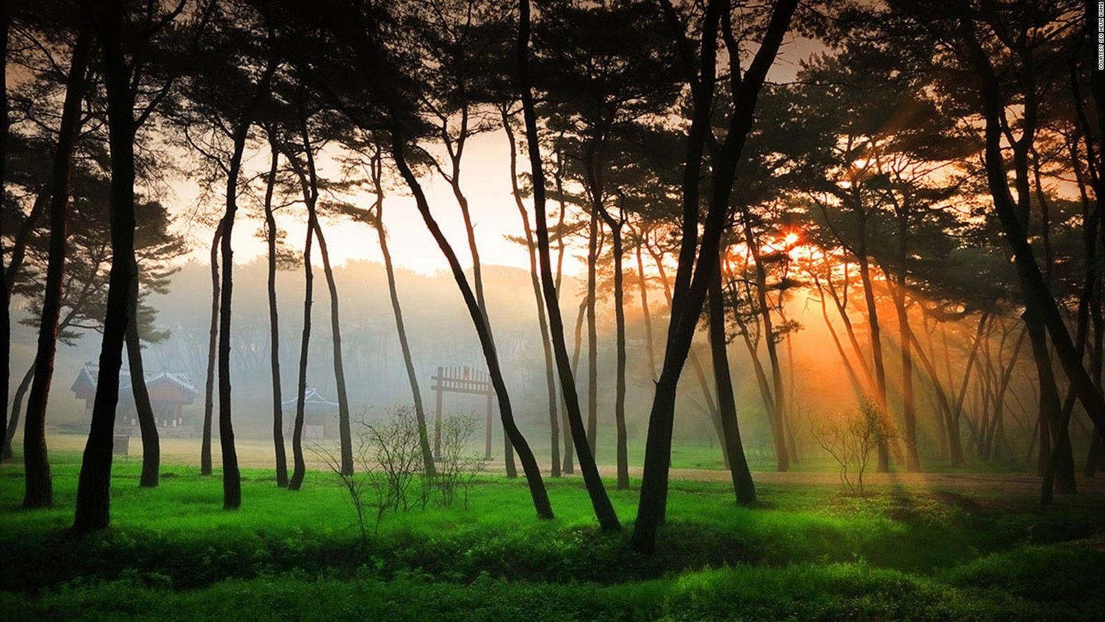 1600x900 South Korea in photo: 40 most beautiful places
