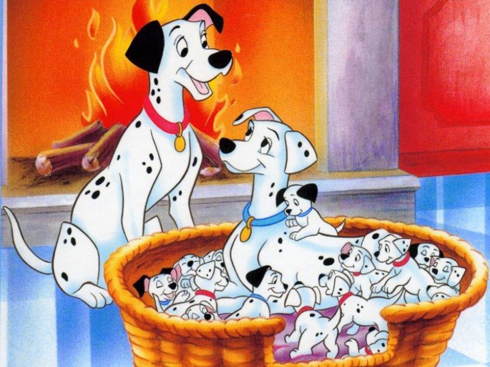 1562x1170 Dalmatians Wallpaper