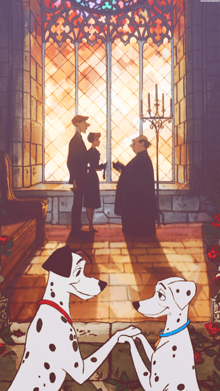 720x1280 Dalmatians shared