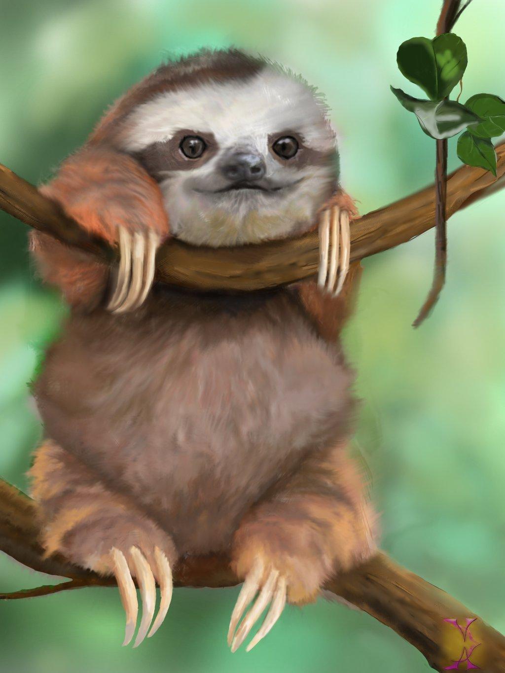 Hình nền 1024x1365 Baby Sloth