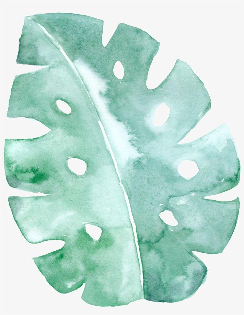820x1058 This Graphics Is Spotted Green Leaf Cartoon Transparent Green Background Watercolor Png Transparent PNG Download