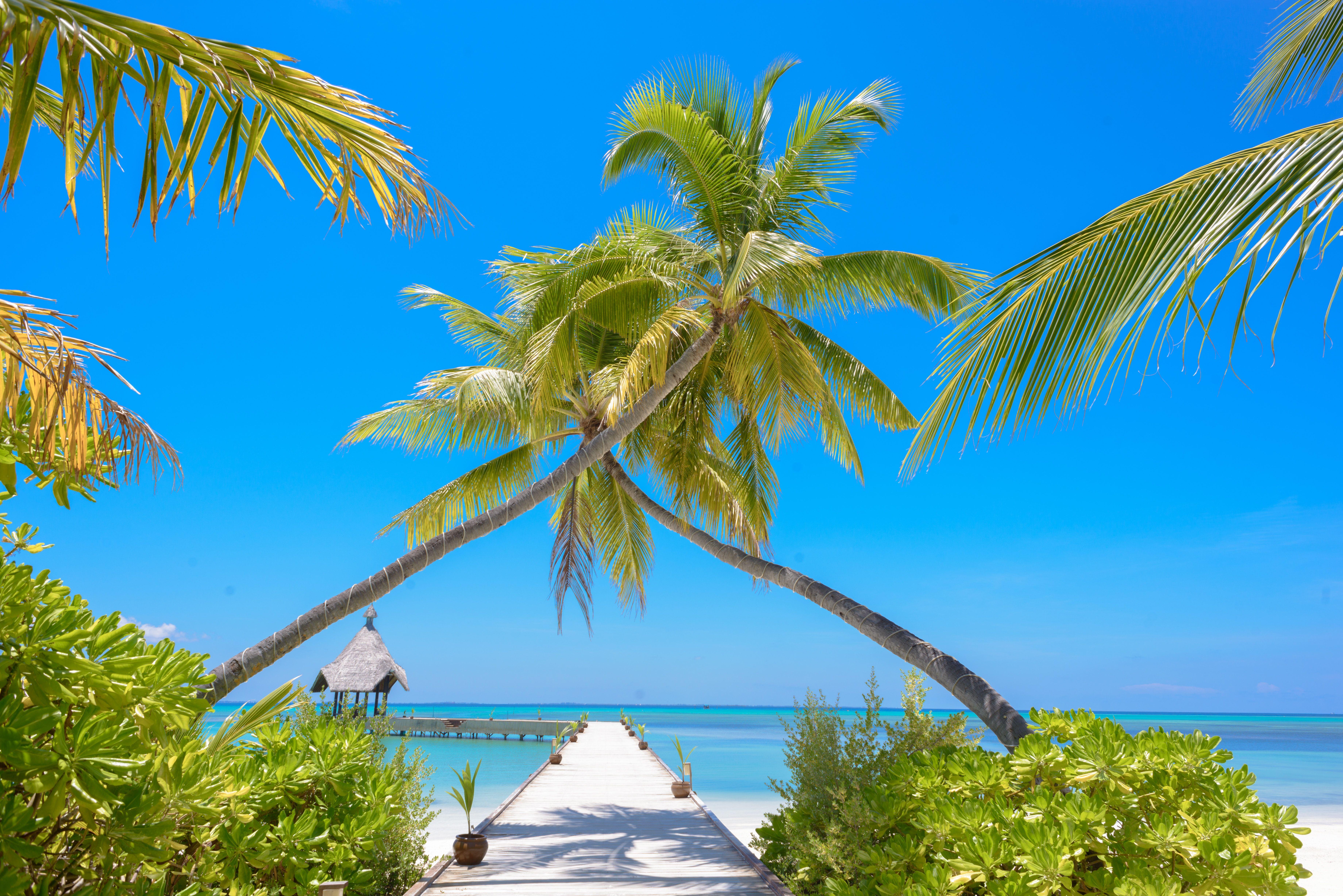 7360x4912 Photo of Scenic Beach Resort · Free