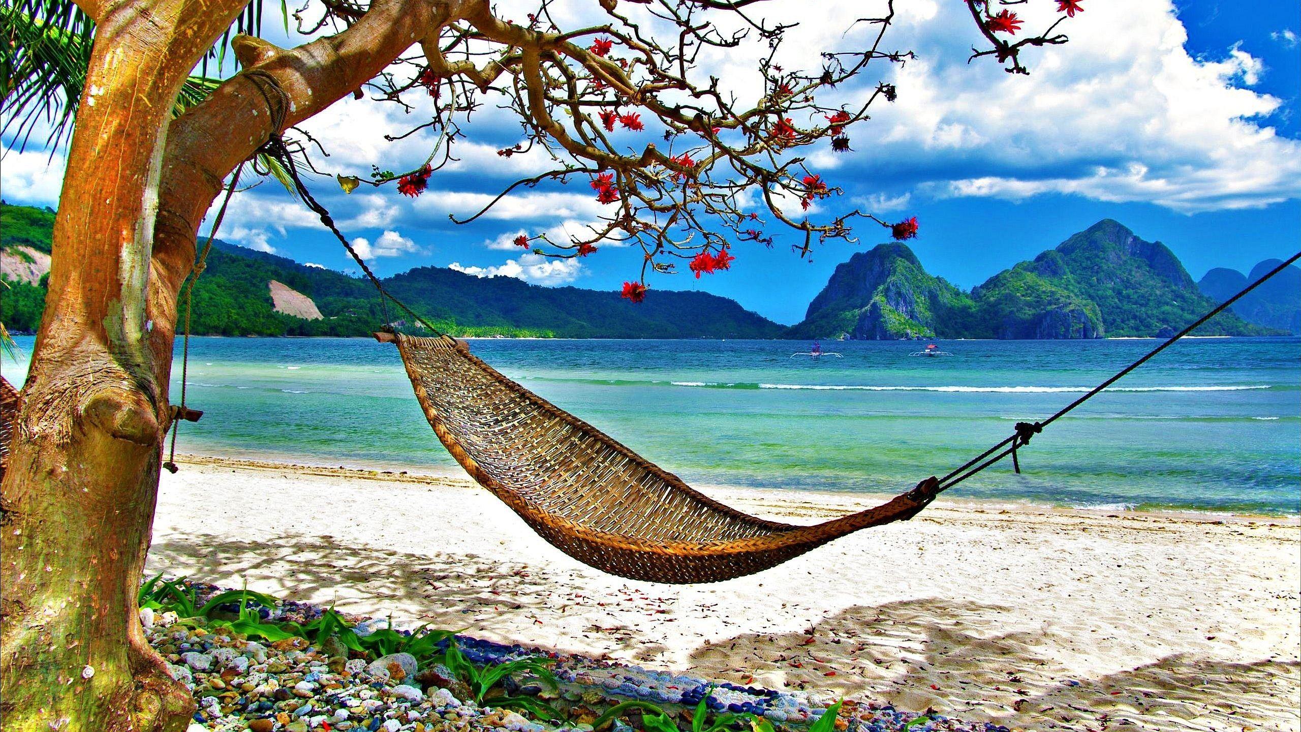 2560x1440 Hammock In Beach