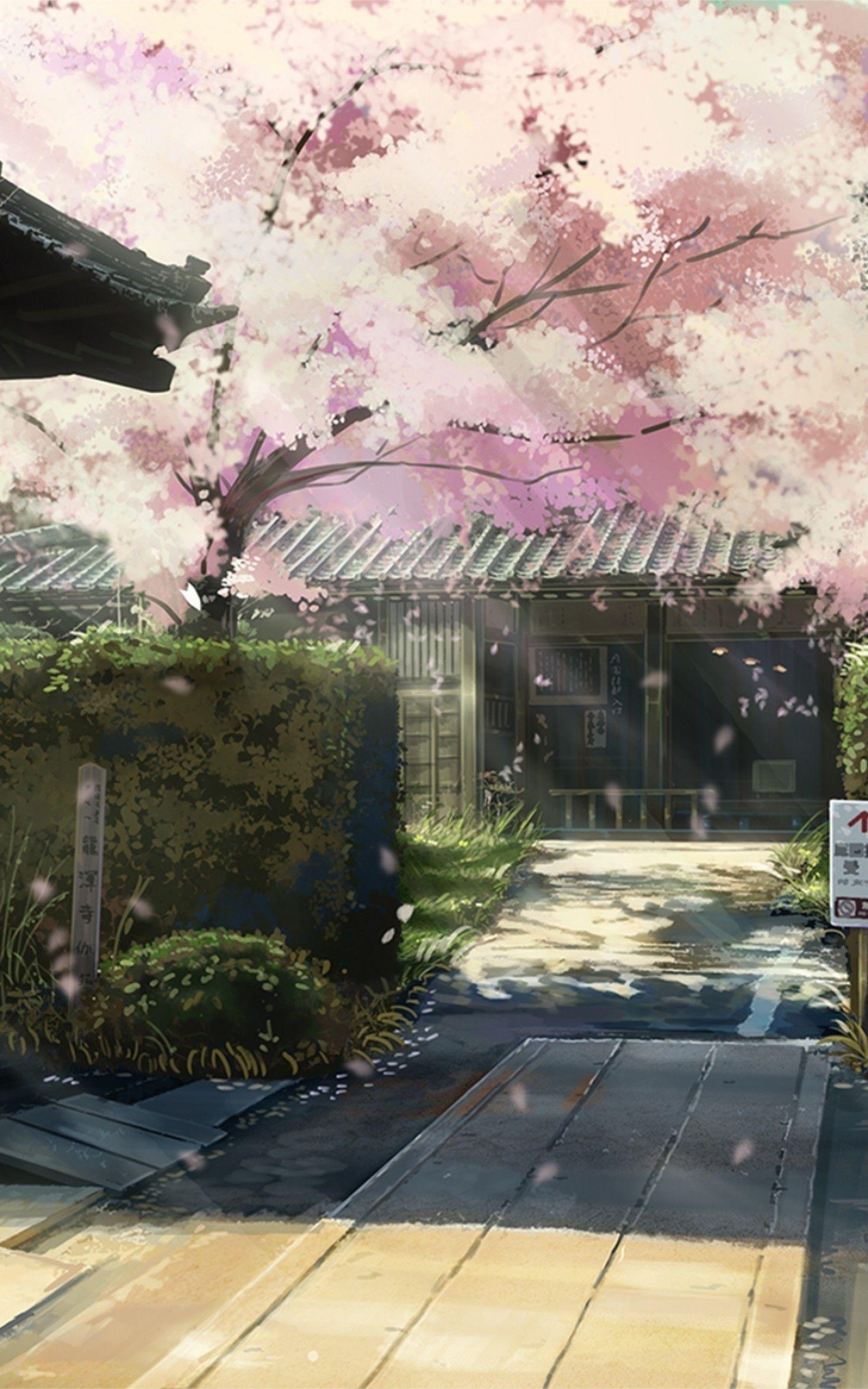 1600x2560 Download 1600x2560 Anime Building, Japanese House, Sakura Blossom, Scenic Wallpaper for Google Nexus 10
