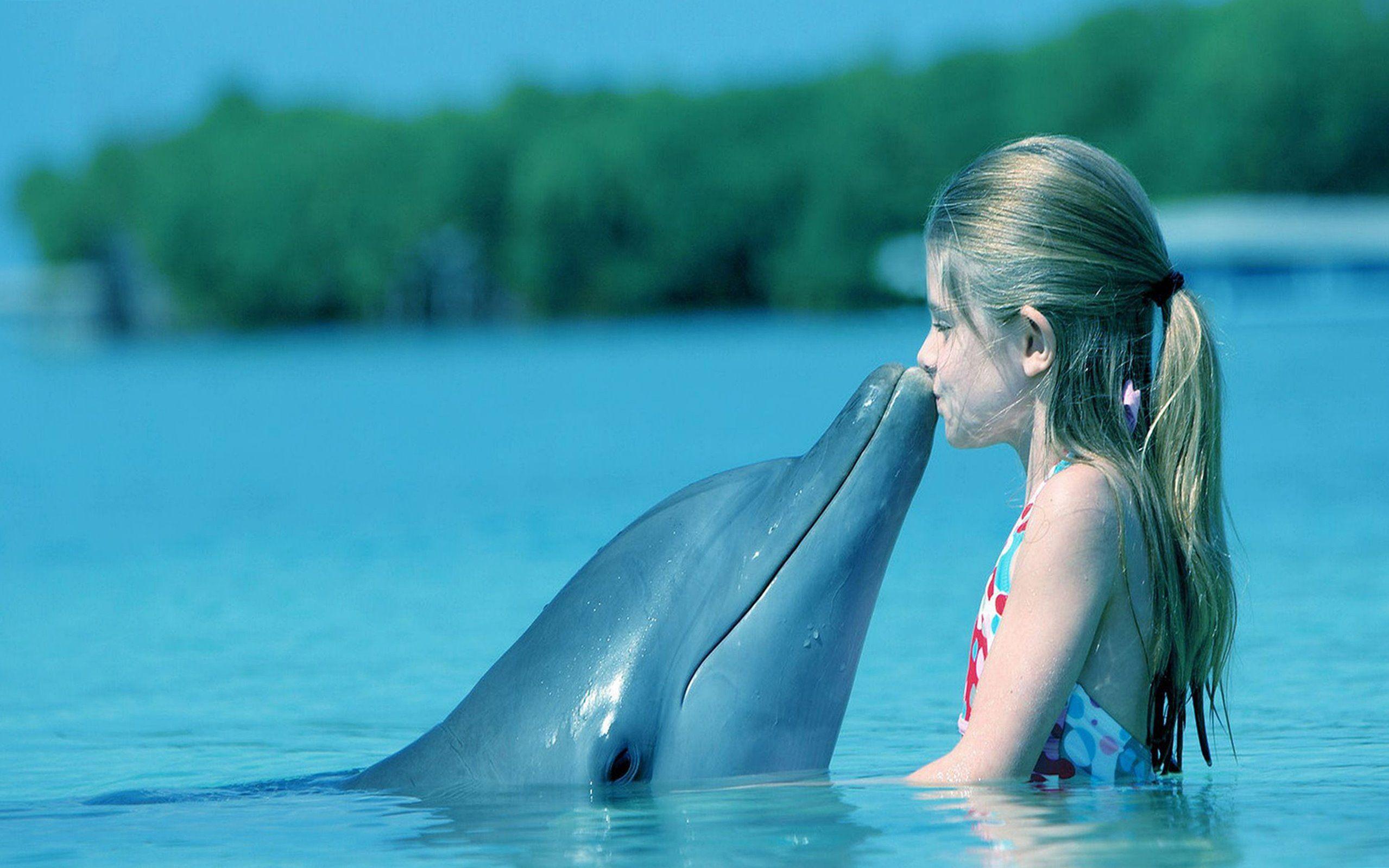 Dolphin api. Дельфины в море. Фото дельфина. Дельфин в воде. Дельфин в море.