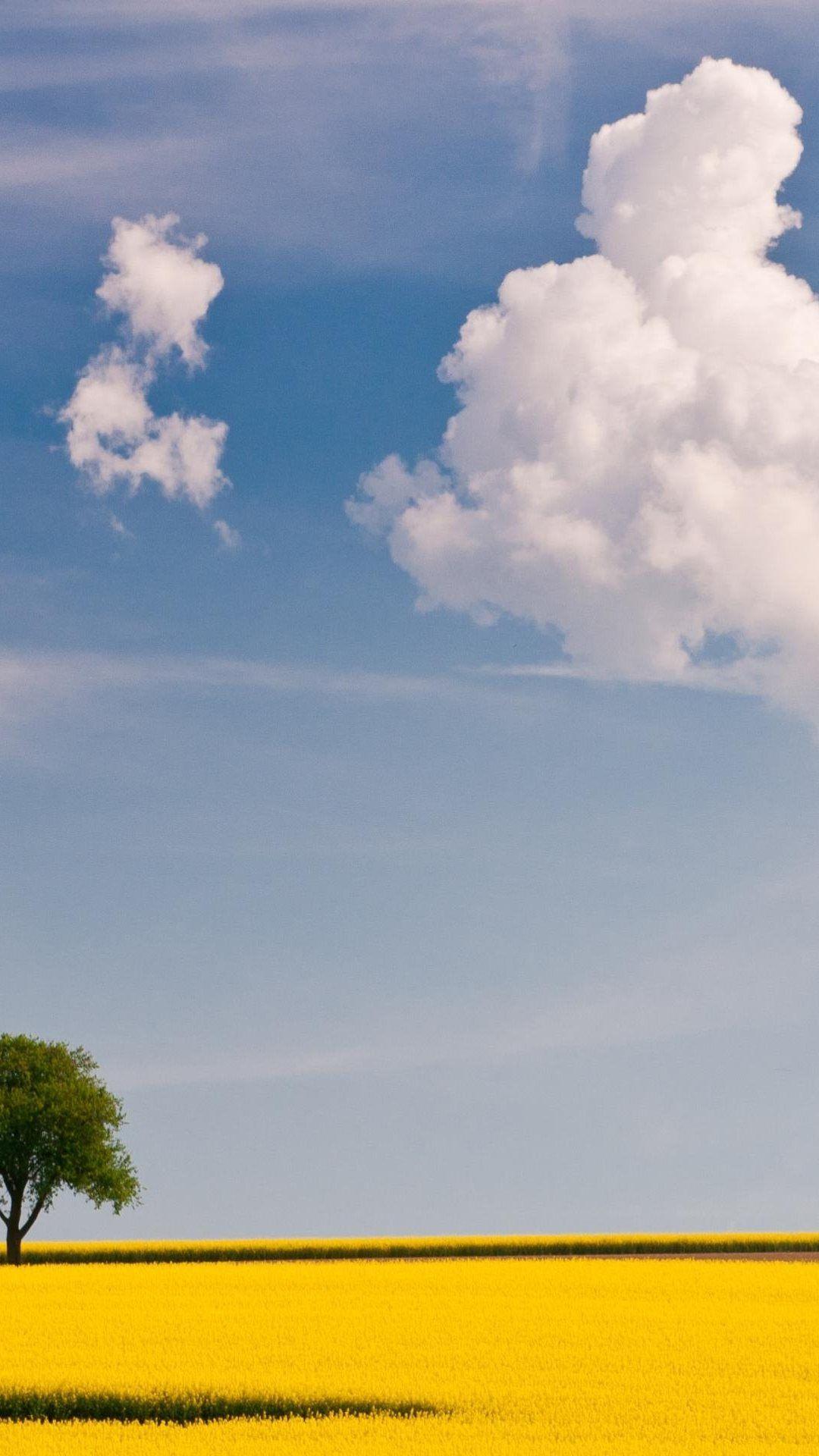 1080x1920 Gionee Elife E6 HD Wallpaper. iPhone 5s wallpaper, Wallpaper, Landscape