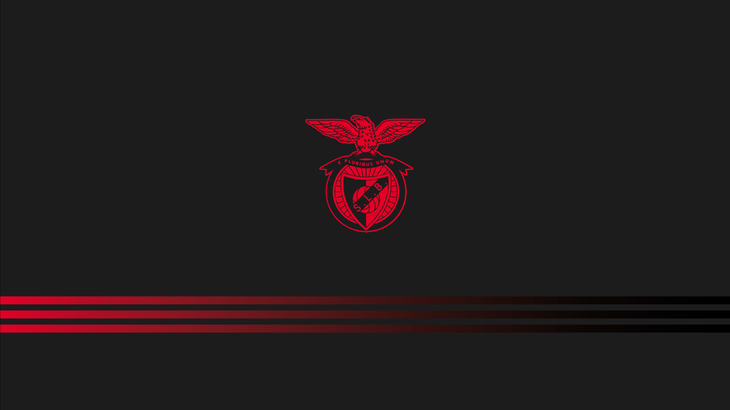 Benfica Wallpapers - Top Free Benfica Backgrounds - WallpaperAccess