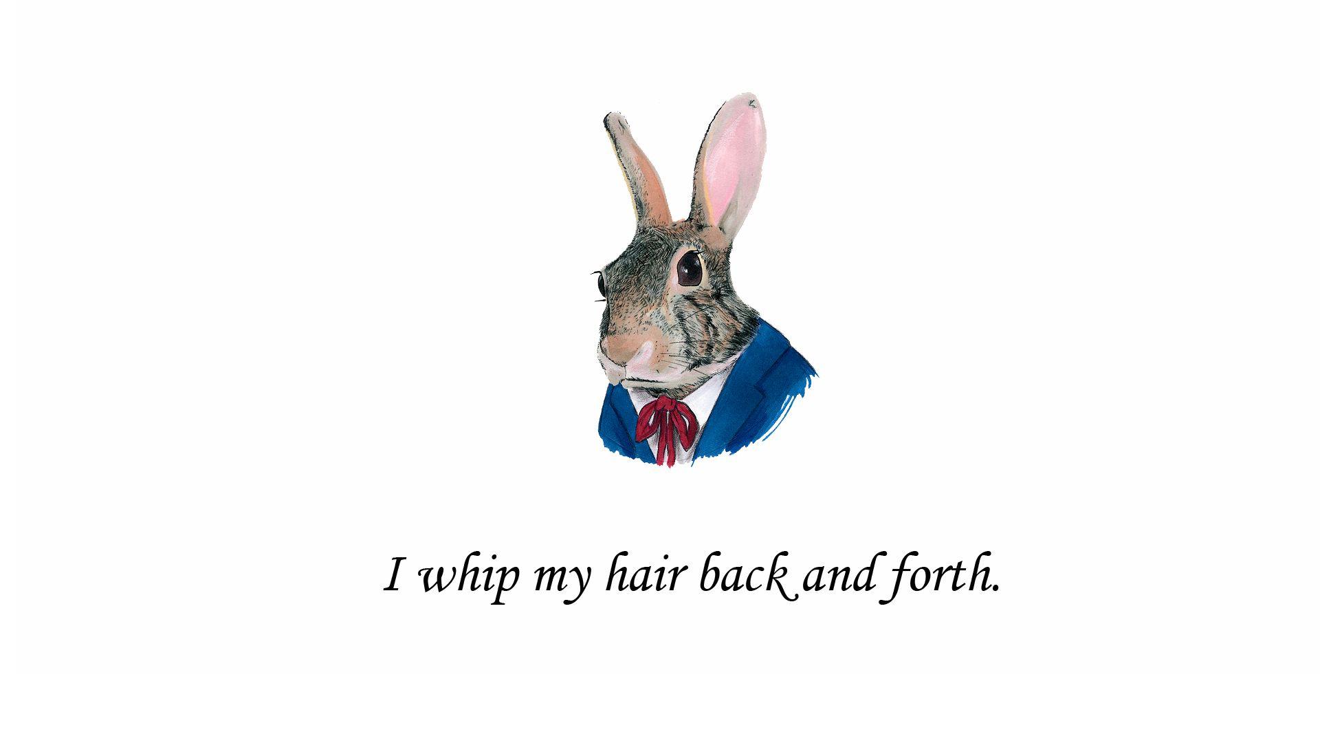 1920x1080 Fancy animals with rap lyrics wallpaper