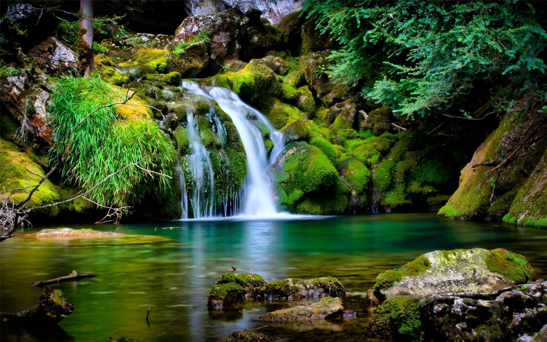 1920x1200 Free Garden Wallpaper Widescreen