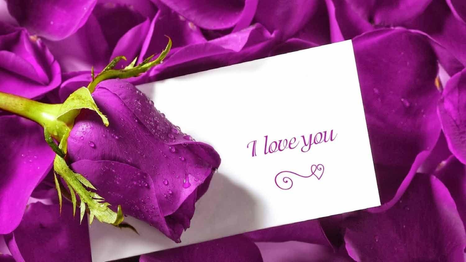 1500x844 World Best Love Fresh High Definition Wallpaper Love Flower