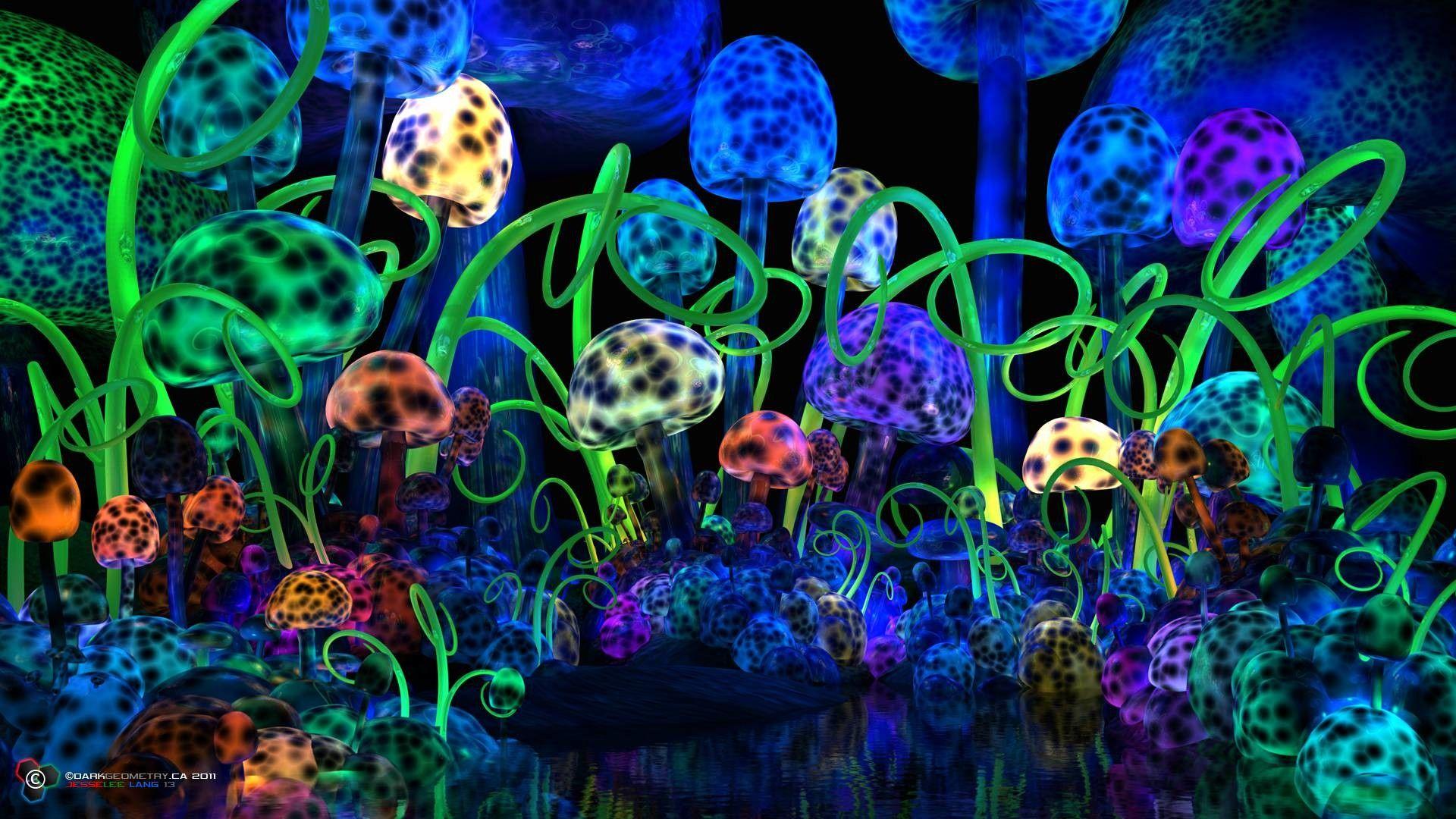 1920x1080 Shrooms Wallpaper