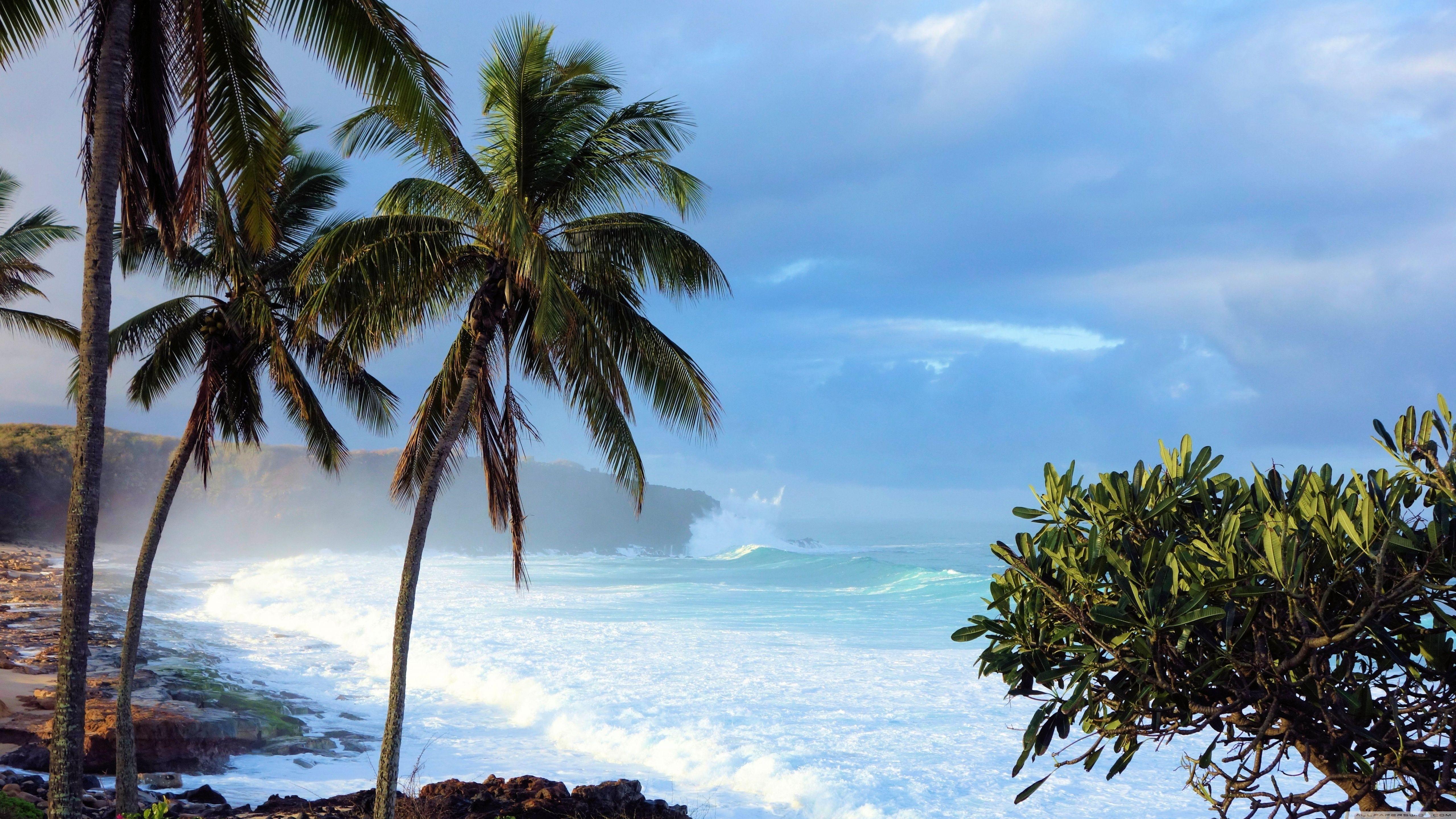 5120x2880 Standard Pro Wallpaper Hawaii Wallpaper & Background Download