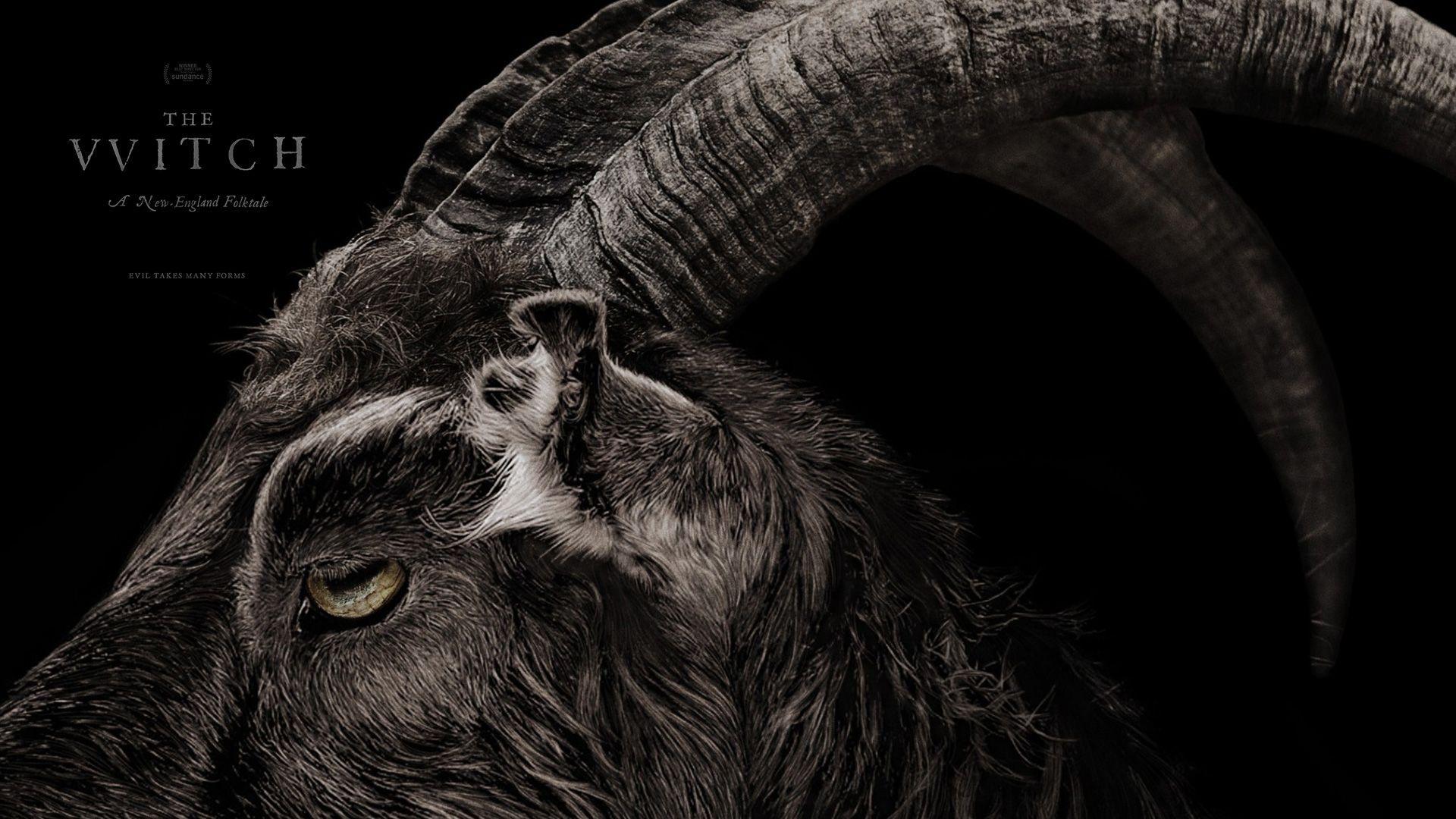 1920x1080 Black Goat Wallpaper