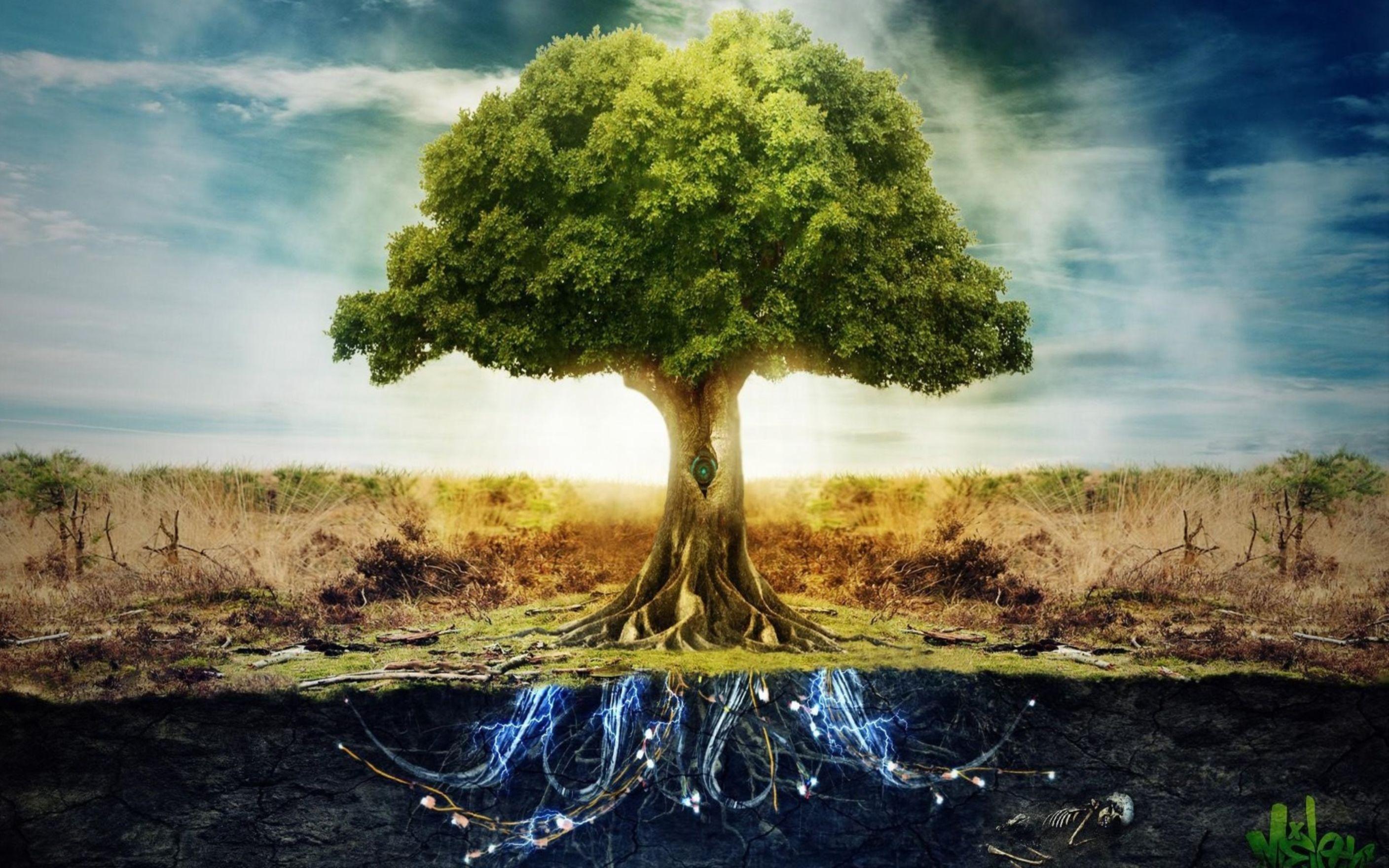 2816x1760 Electronic Tree Art HD Wallpaper: Desktop HD Wallpaper