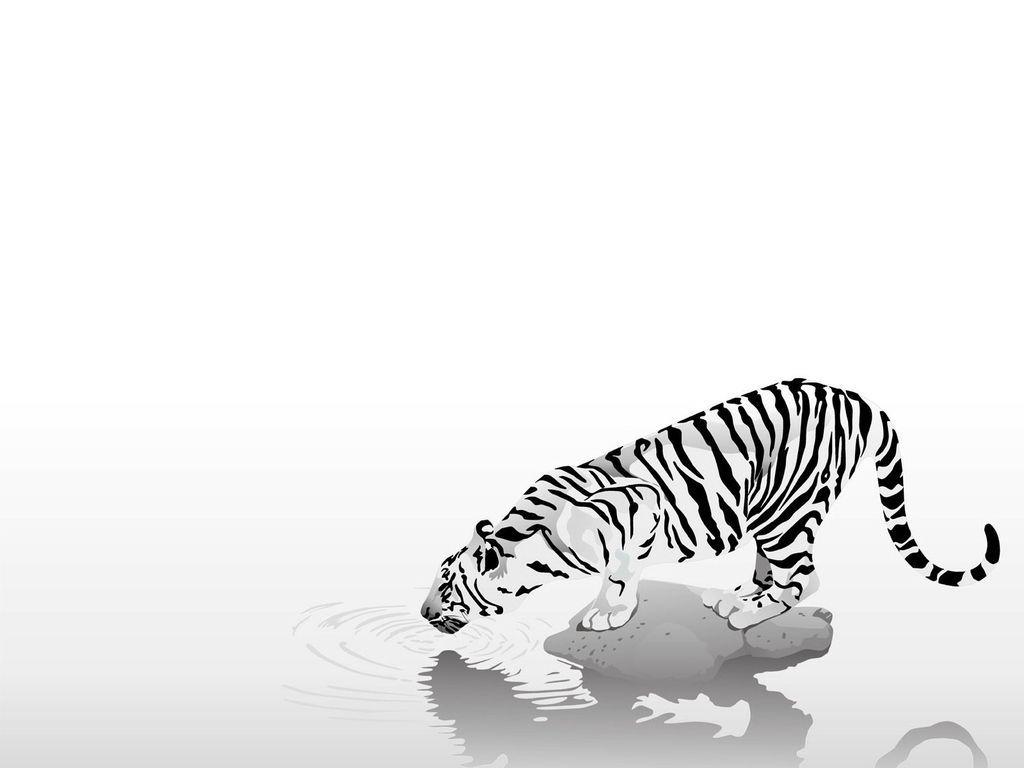 1024x768 Wallpaper