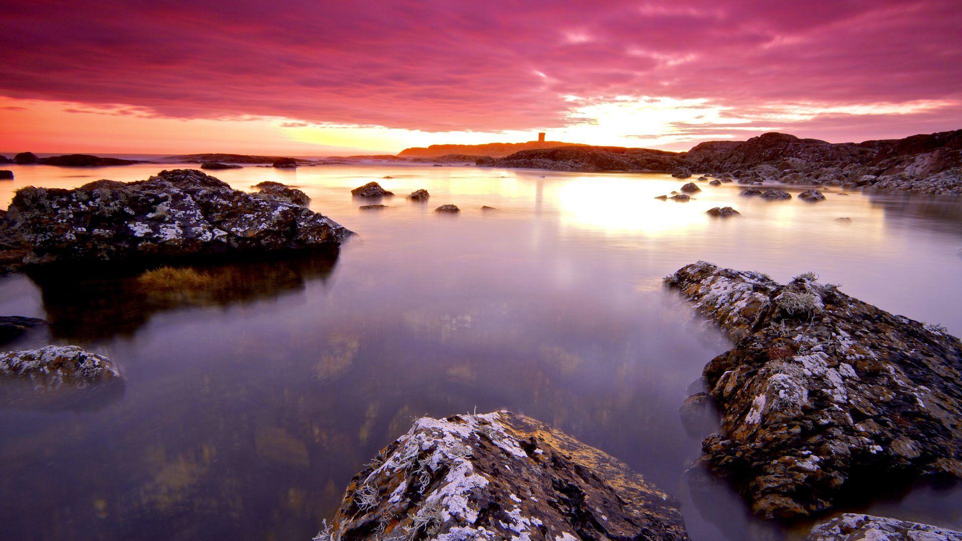 1920x1080 Ireland Tag wallpaper: Ireland Flowers Grass Ocean Sky Nice Nature