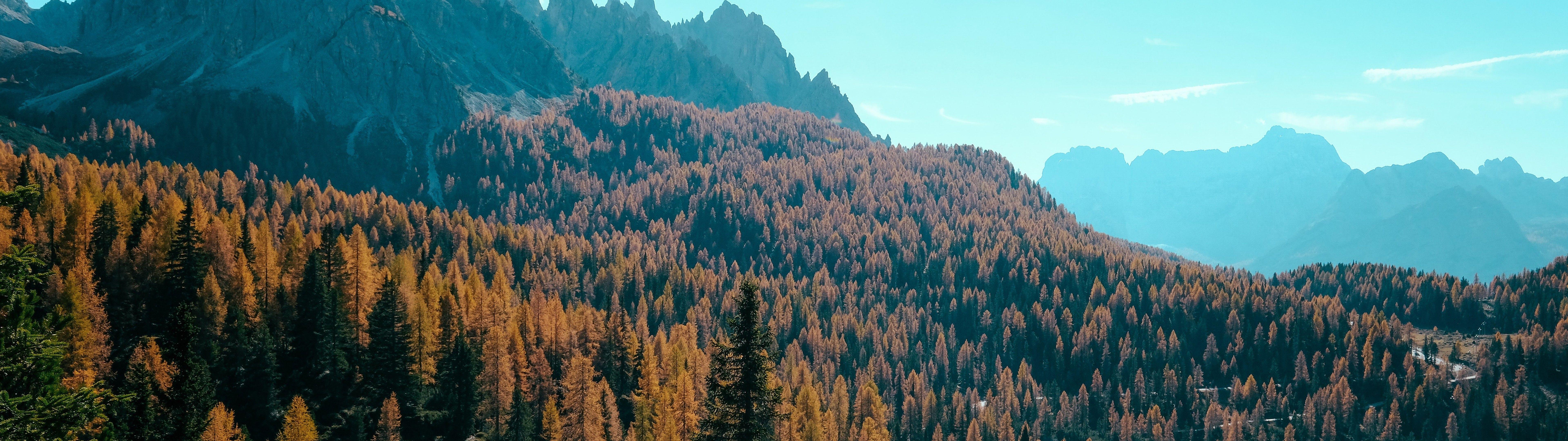 7680x2160 Dual Monitor Wallpaper Forest