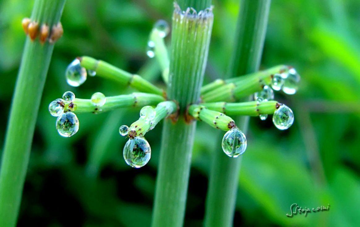 1164x736 Aesthetic Rain Desktop Wallpaper