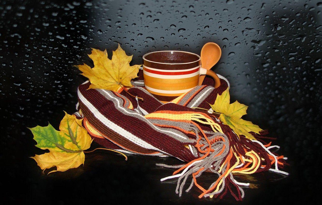 1332x850 Wallpaper nature, mood, tea, beauty, beautiful, beautiful, beauty, harmony, the Wallpaper, cool, bouquet, nice, elegantly, wedding, autumn leaves, scarf striped image for desktop, section настроения