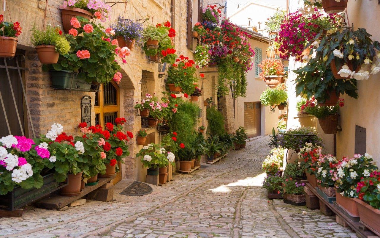 1280x800 Flower: Street Greece Flowers Beautiful Pot Pots Nature Flower