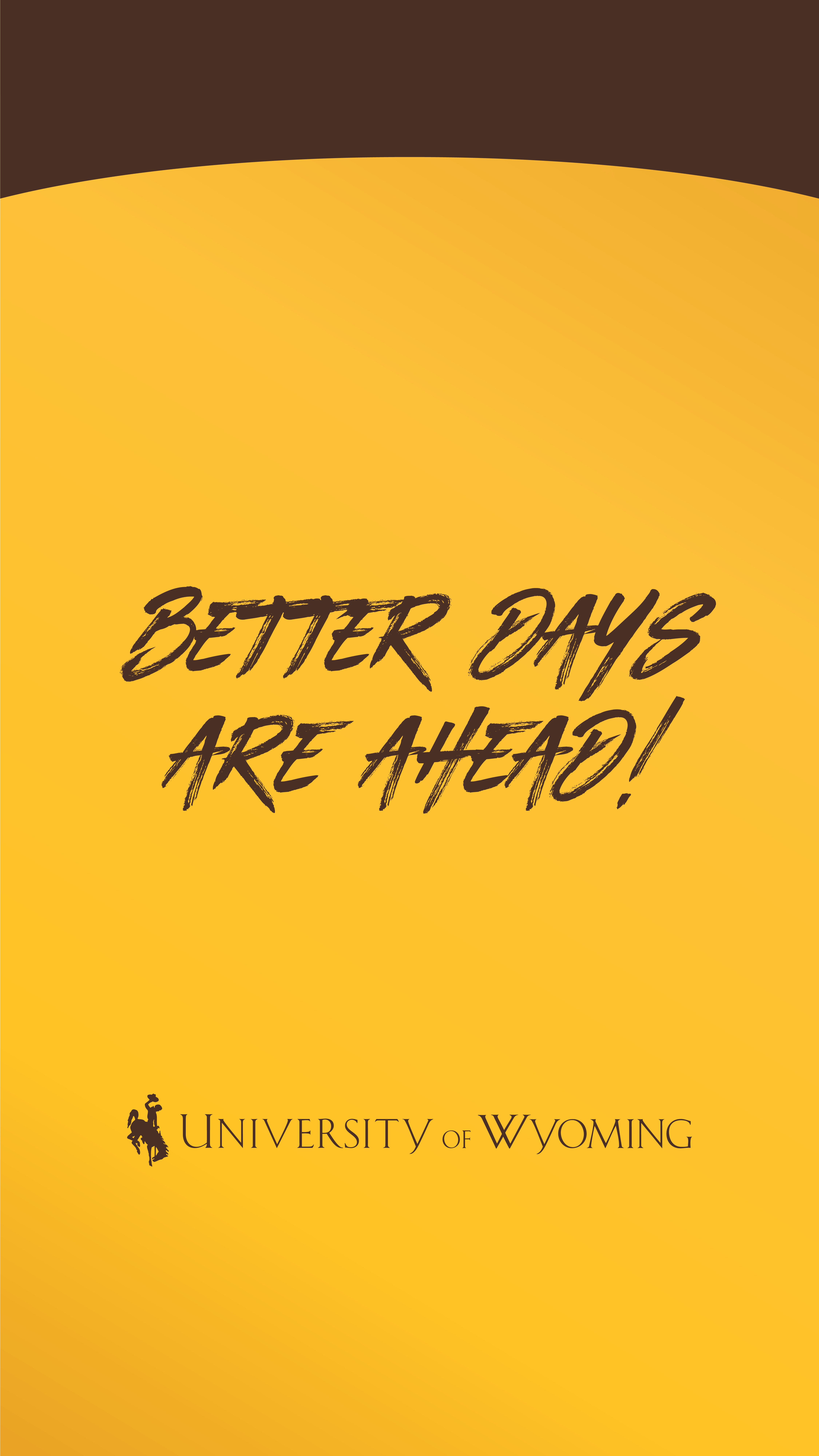 4501x8000 UW Brand Center. Institutional Marketing. University of Wyoming
