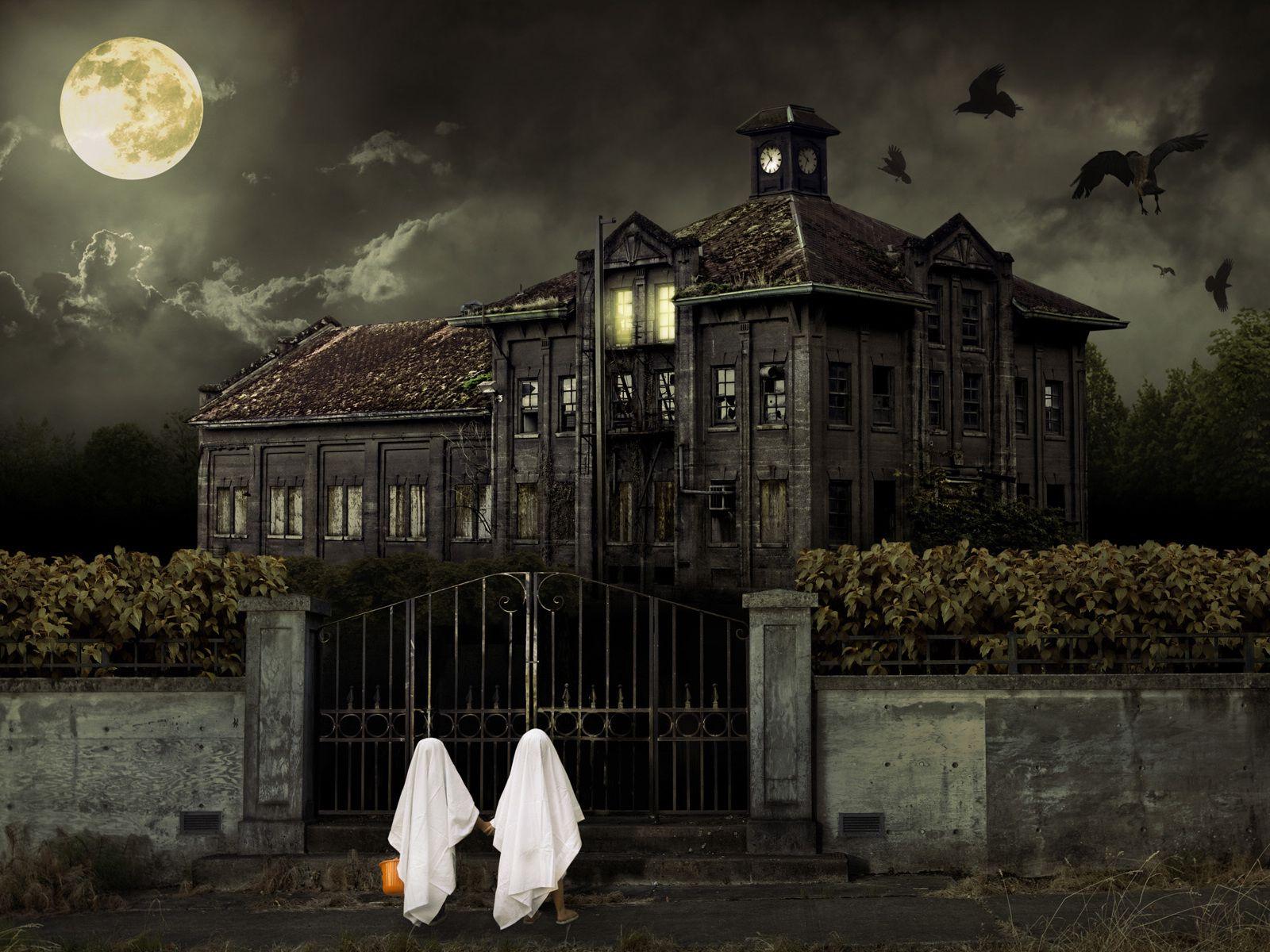 1600x1200 Amazon Free F Fear Factory wallpaper, picture, photo, image 1600x1200