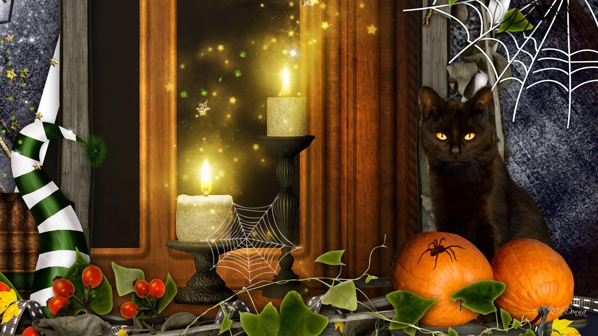 Halloween Cat Wallpa