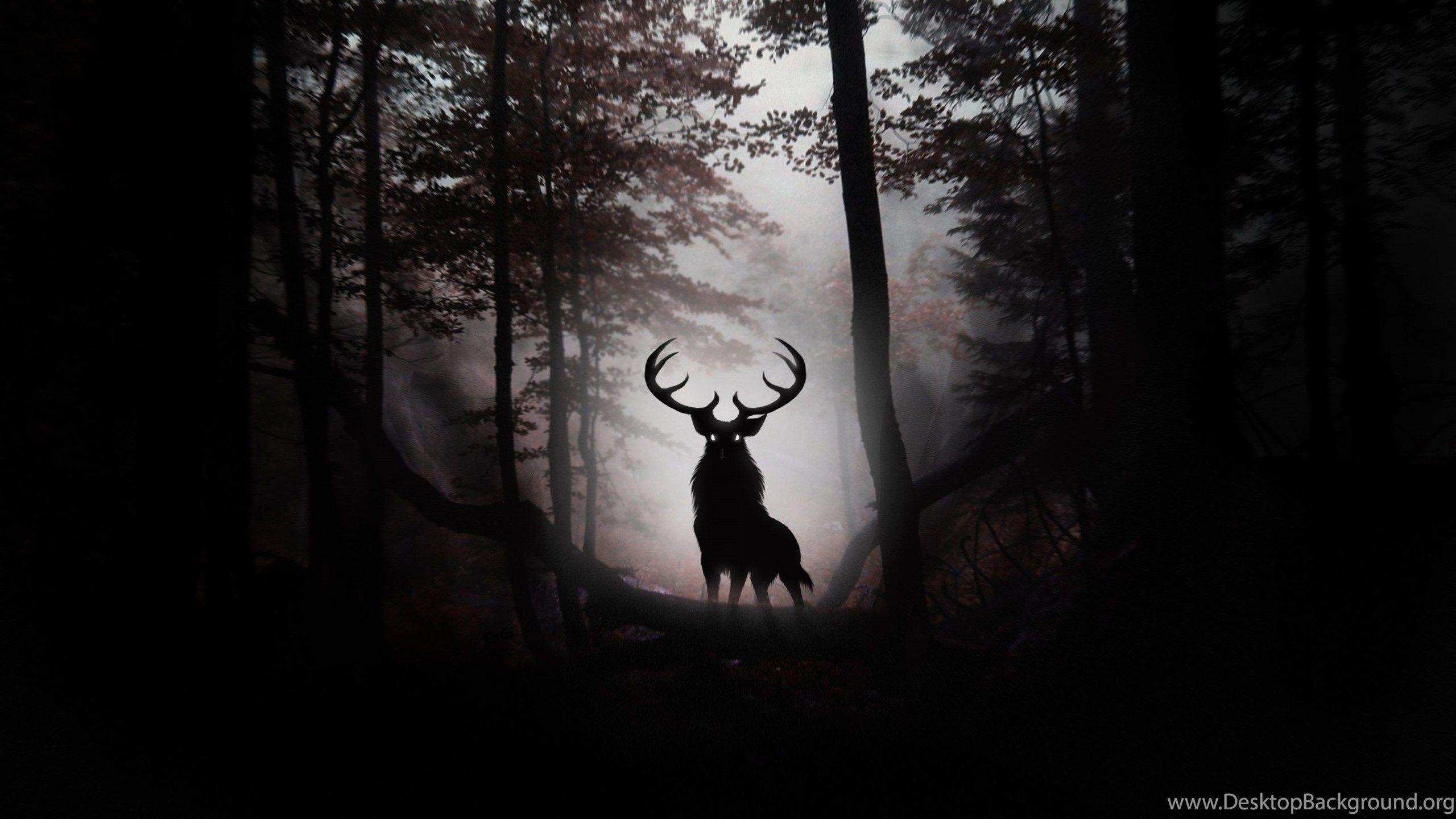 2560x1440 Deer Desktop Desktop Background
