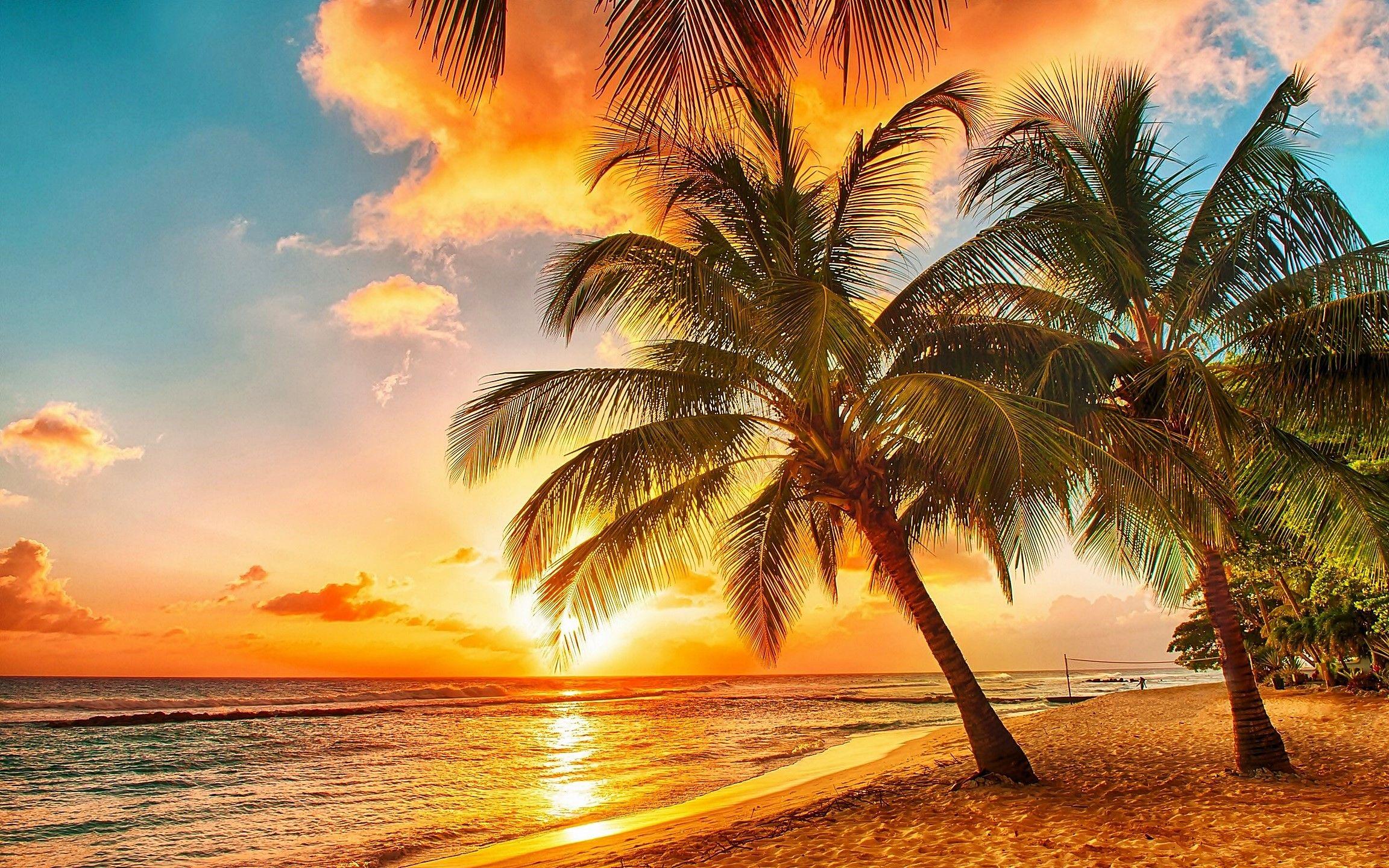 2304x1440 Ocean Beach Sunrise Palms Hình nền máy tính tuyệt vời Bãi biển HD 16: 9