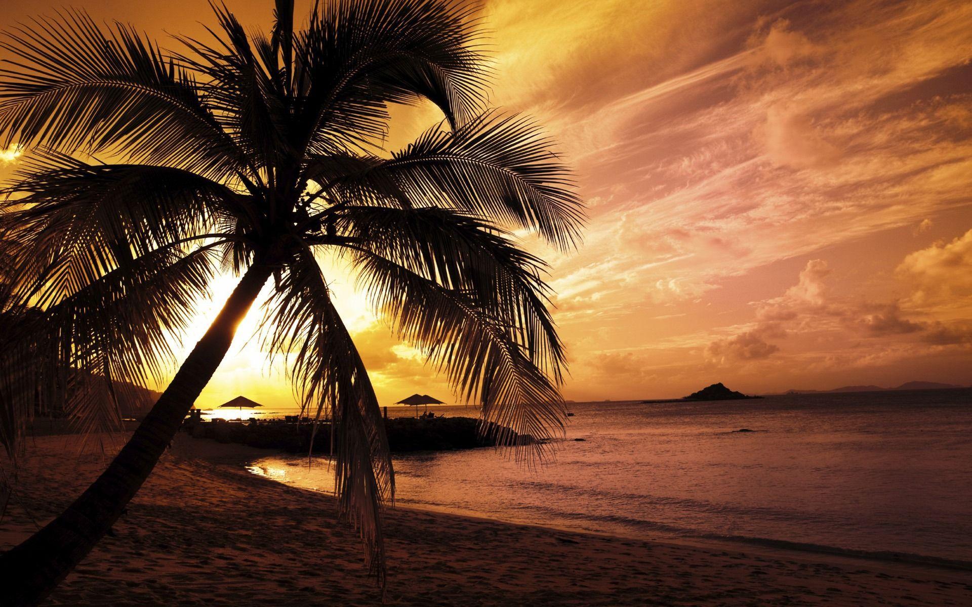 1920x1200 Sunset Nature Wallpaper