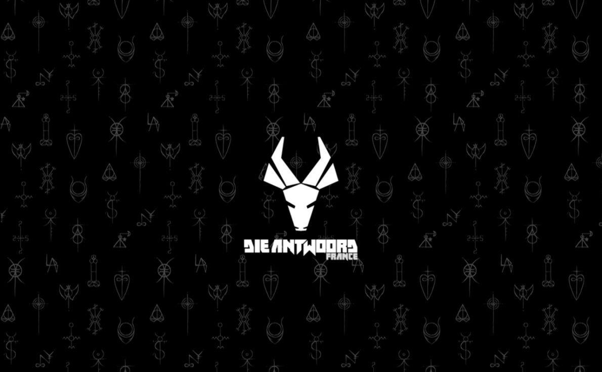 1190x736 Die Antwoord Wallpaper