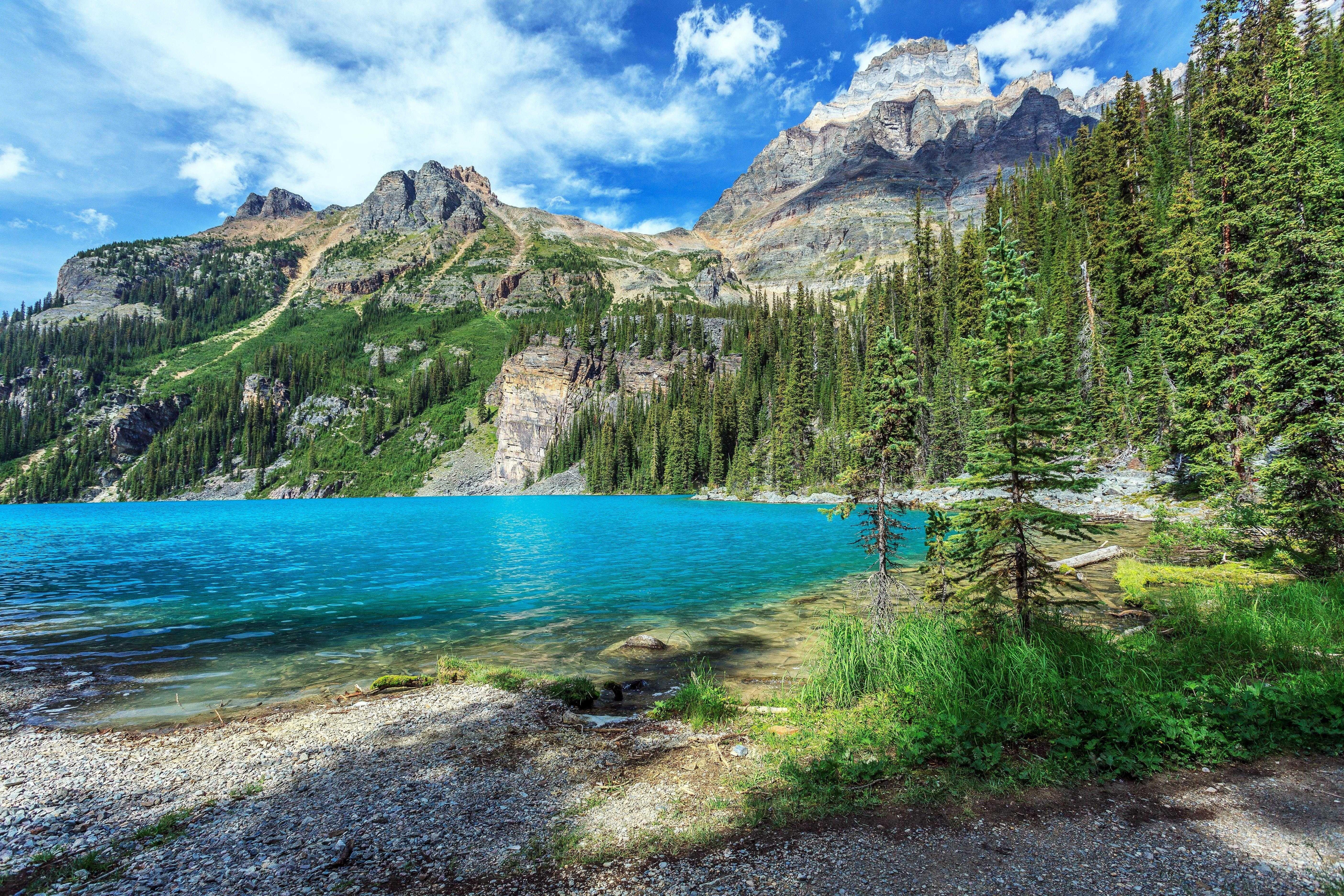 5616x3744 yoho, National, Park, British, Columbia, Lake, Mountains, Trees Wallpaper HD / Desktop and Mobile Background