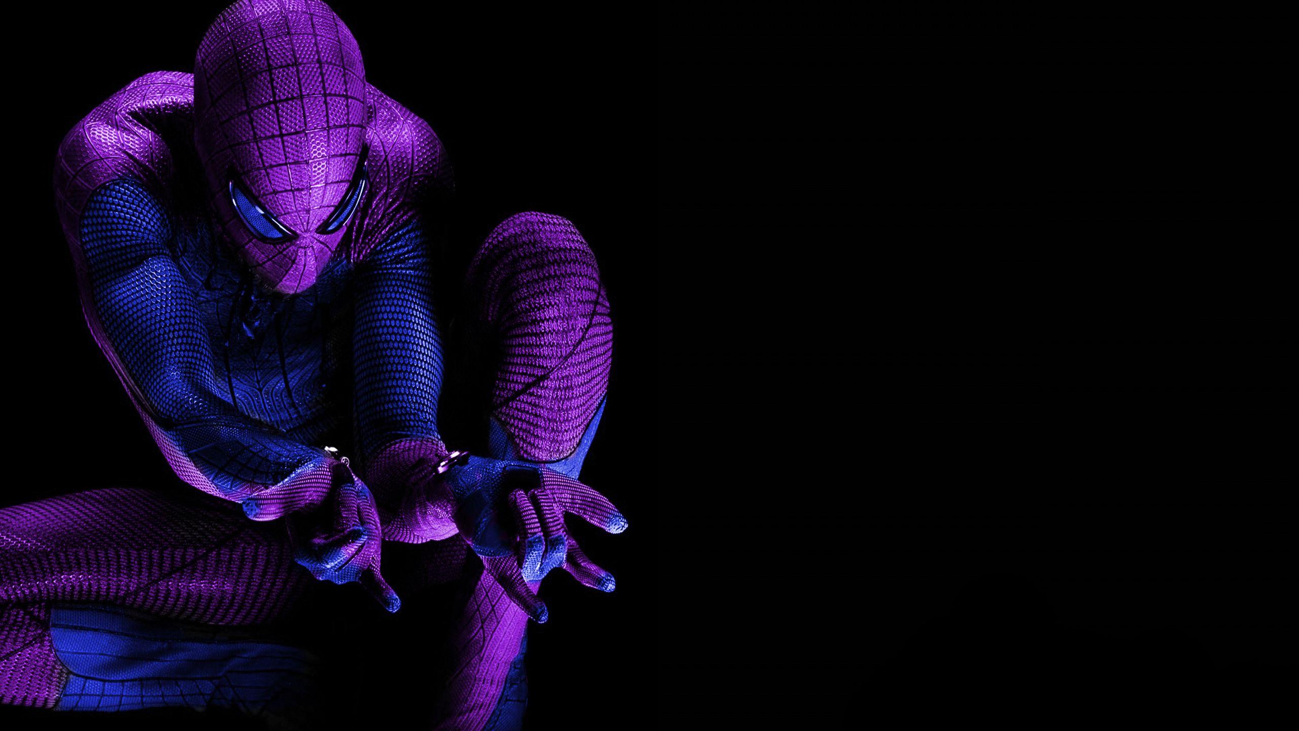 2560x1440 Purple Spiderman HD Purple Wallpaper