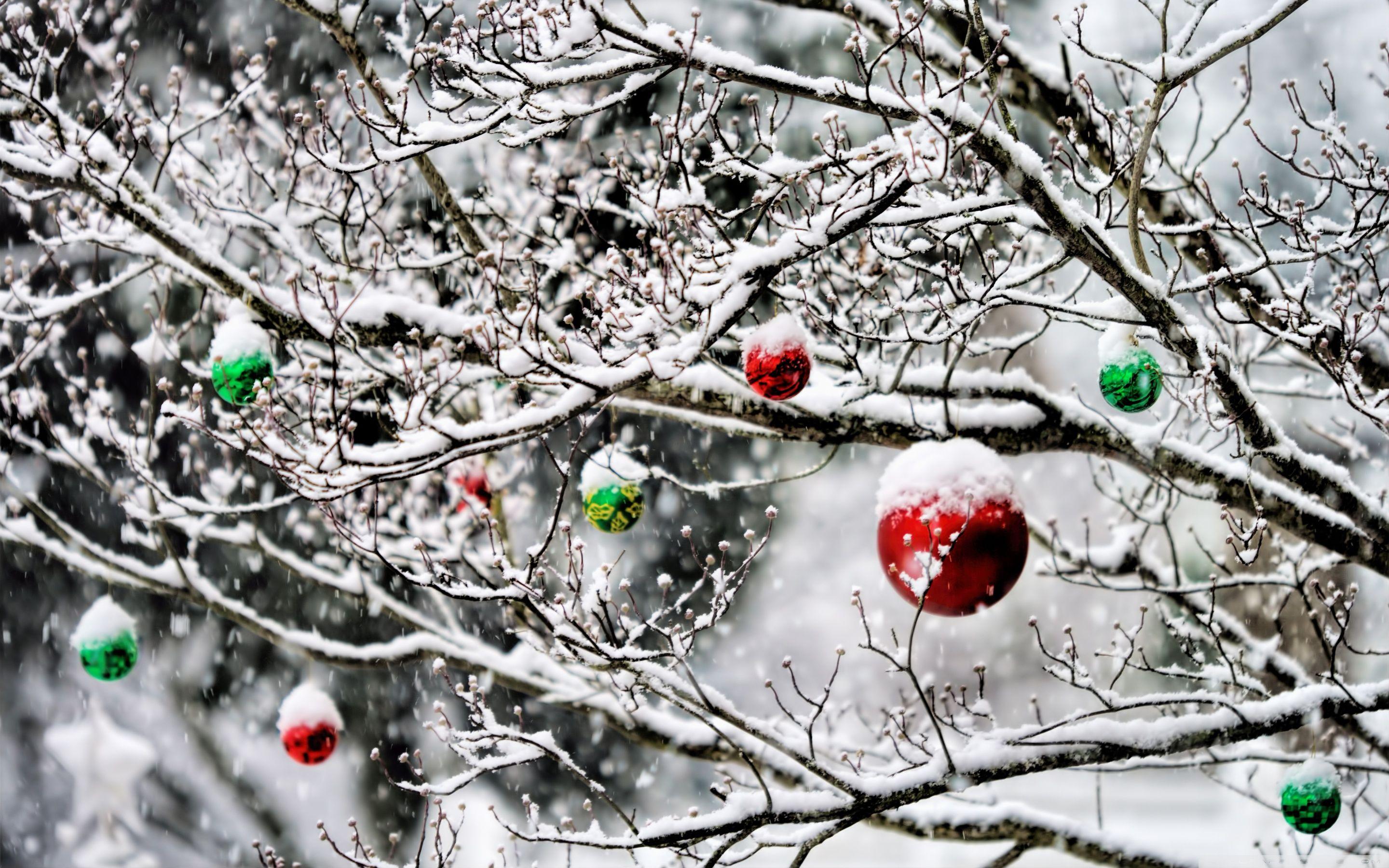 2880x1800 Christmas Picture Snow Wallpaper