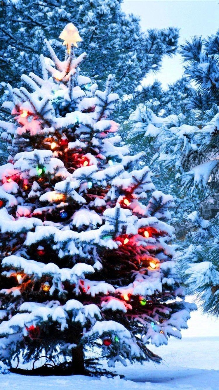 750x1334 Christmas Snow Wallpaper Free HD Wallpaper