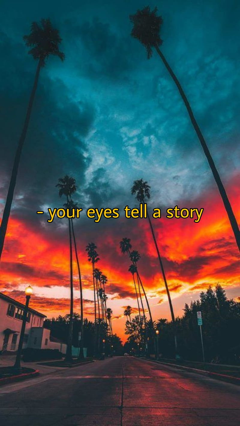 800x1419 Sunset sayngs, awesome, chill, sad, HD phone wallpaper