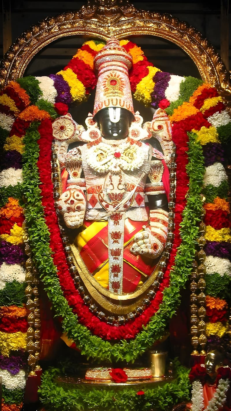 800x1422 HD lord venkateswara wallpaper