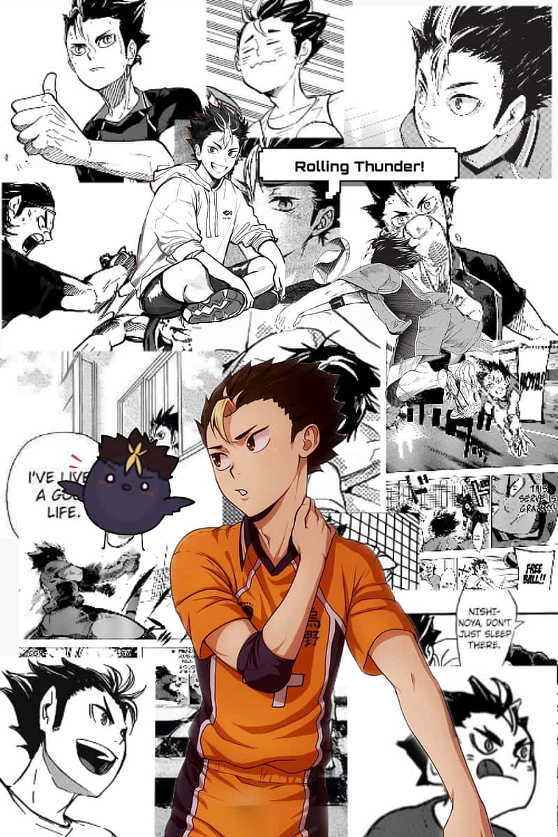 800x1200 Download Haikyuu Anime Nishinoya Manga Wallpaper