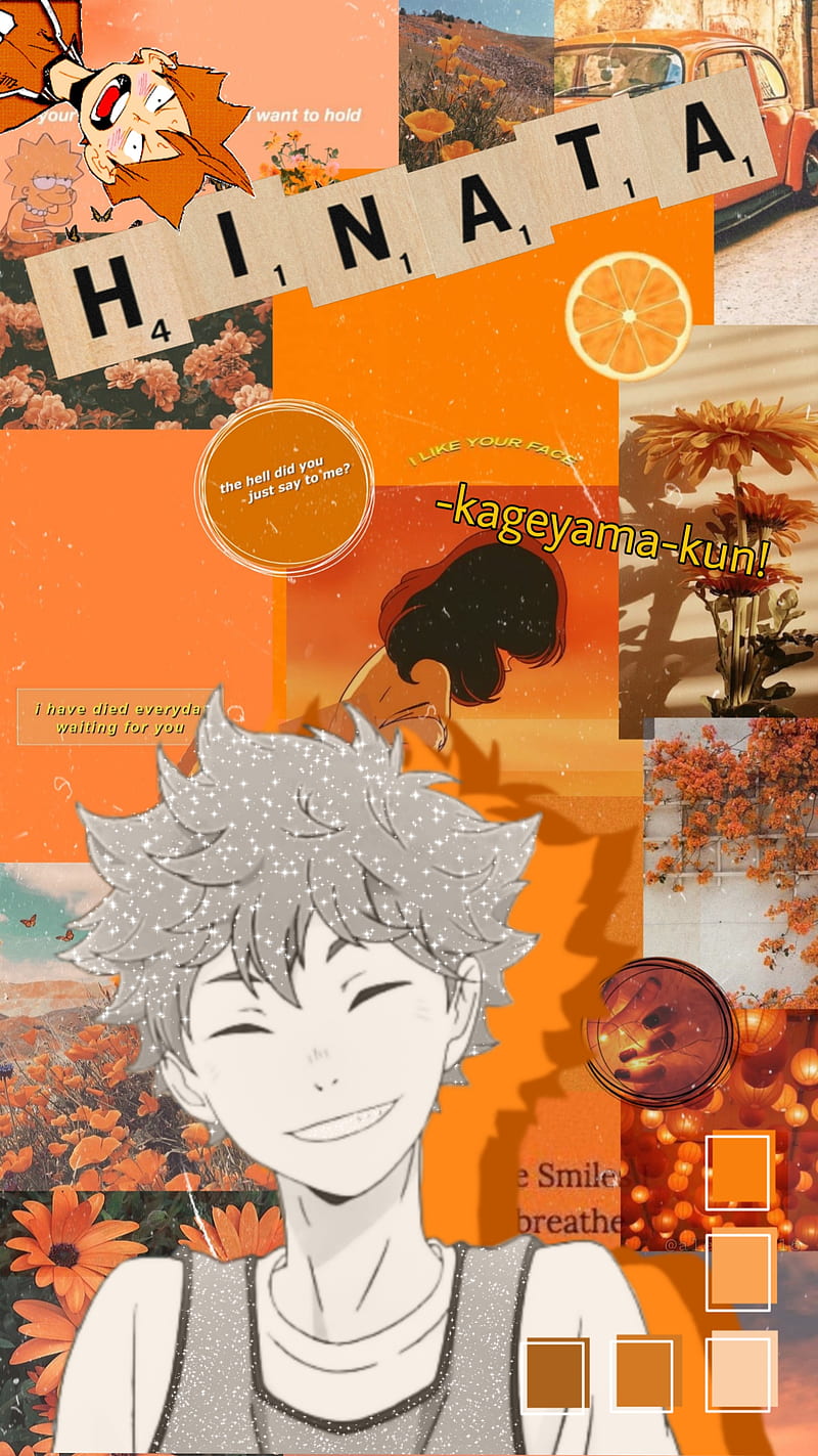 800x1423 HINATA SHOYO, haikyuu, HD phone wallpaper