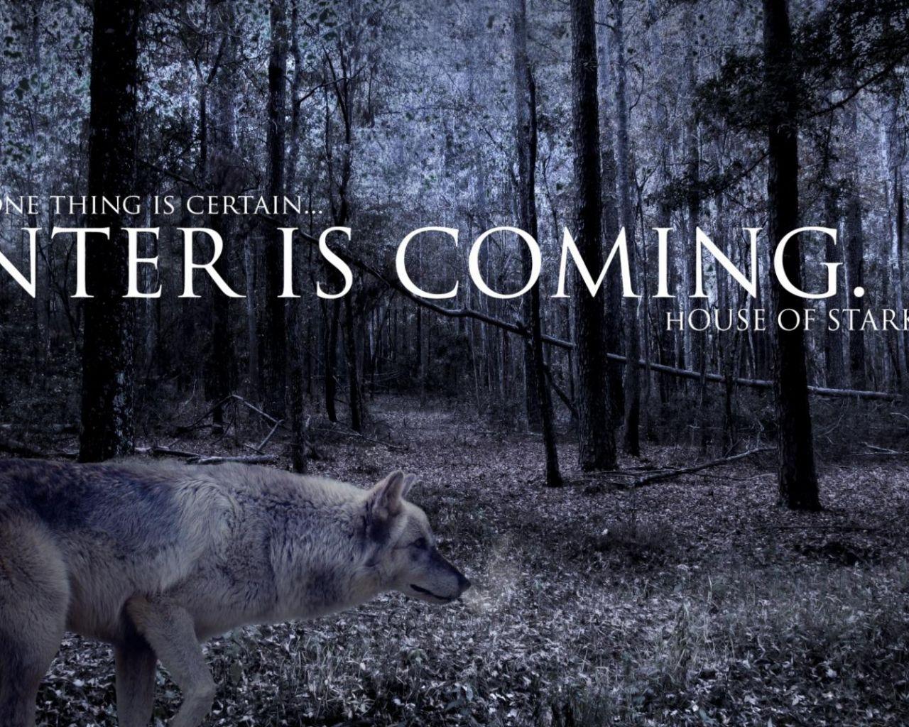1280x1024 Free download Strider game of thrones winter is coming wolves wallpaper 45758 [1920x1080] for your Desktop, Mobile & Tablet. Explore Winter is Coming iPhone Wallpaper. Winter is Coming HD Wallpaper