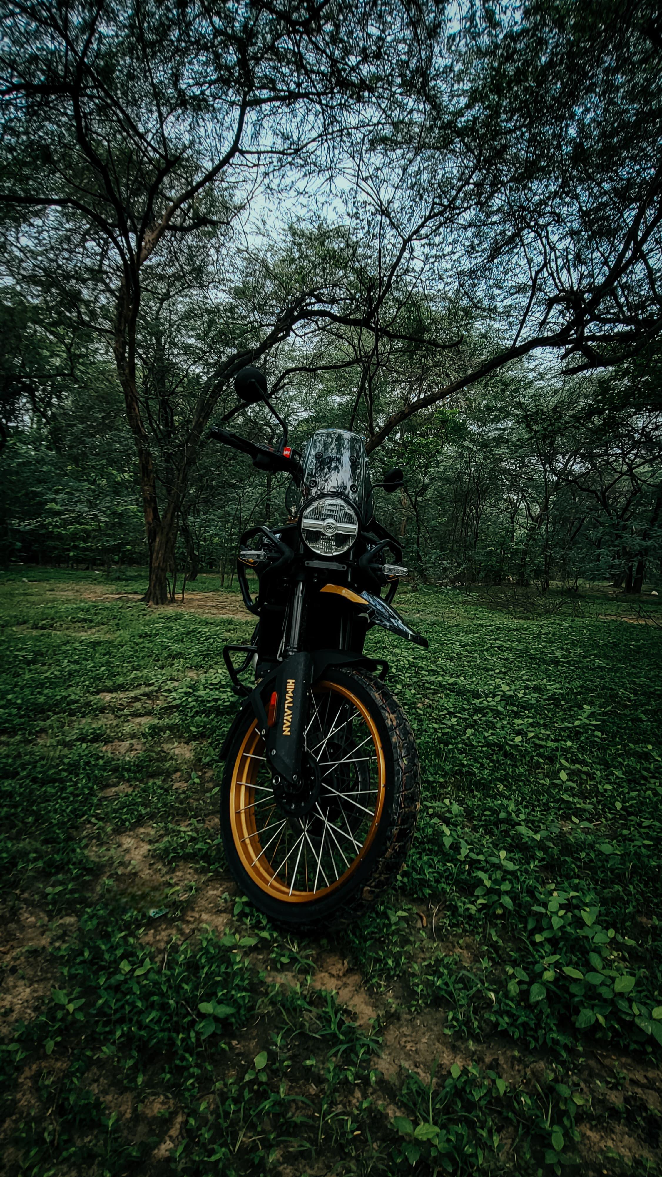 2252x4000 Himalayan 450
