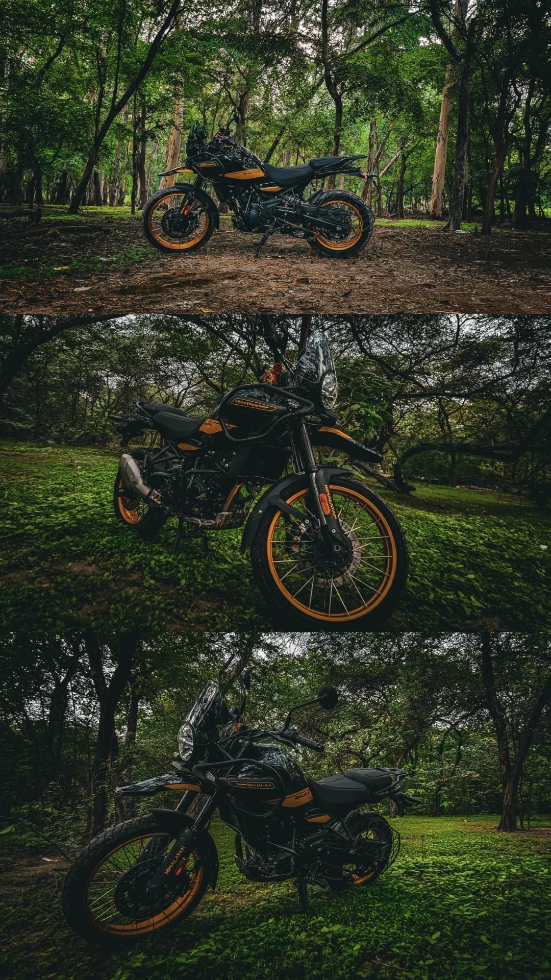 1080x1920 Himalayan 450