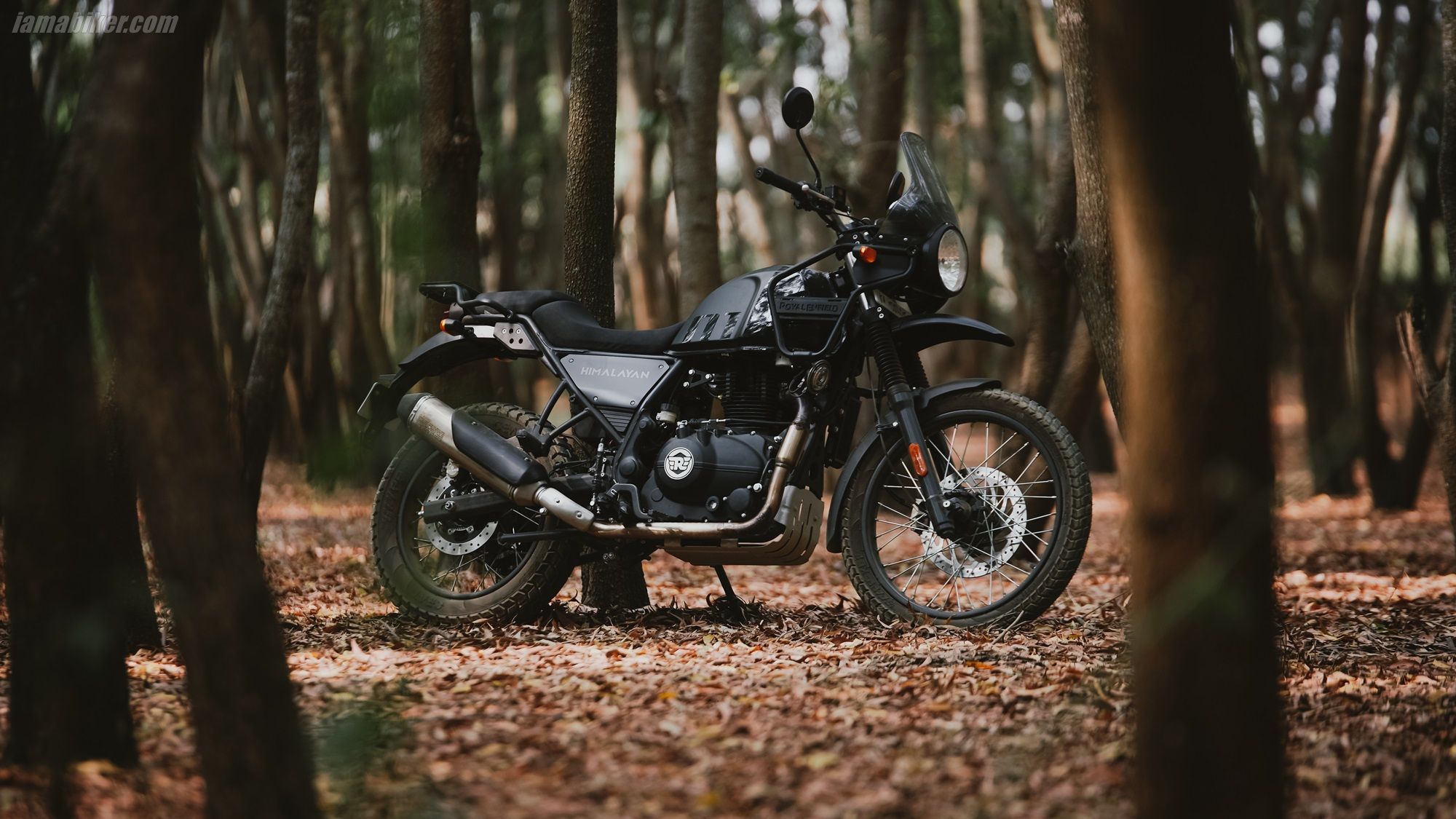 2000x1125 Bullet Himalayan Wallpaper
