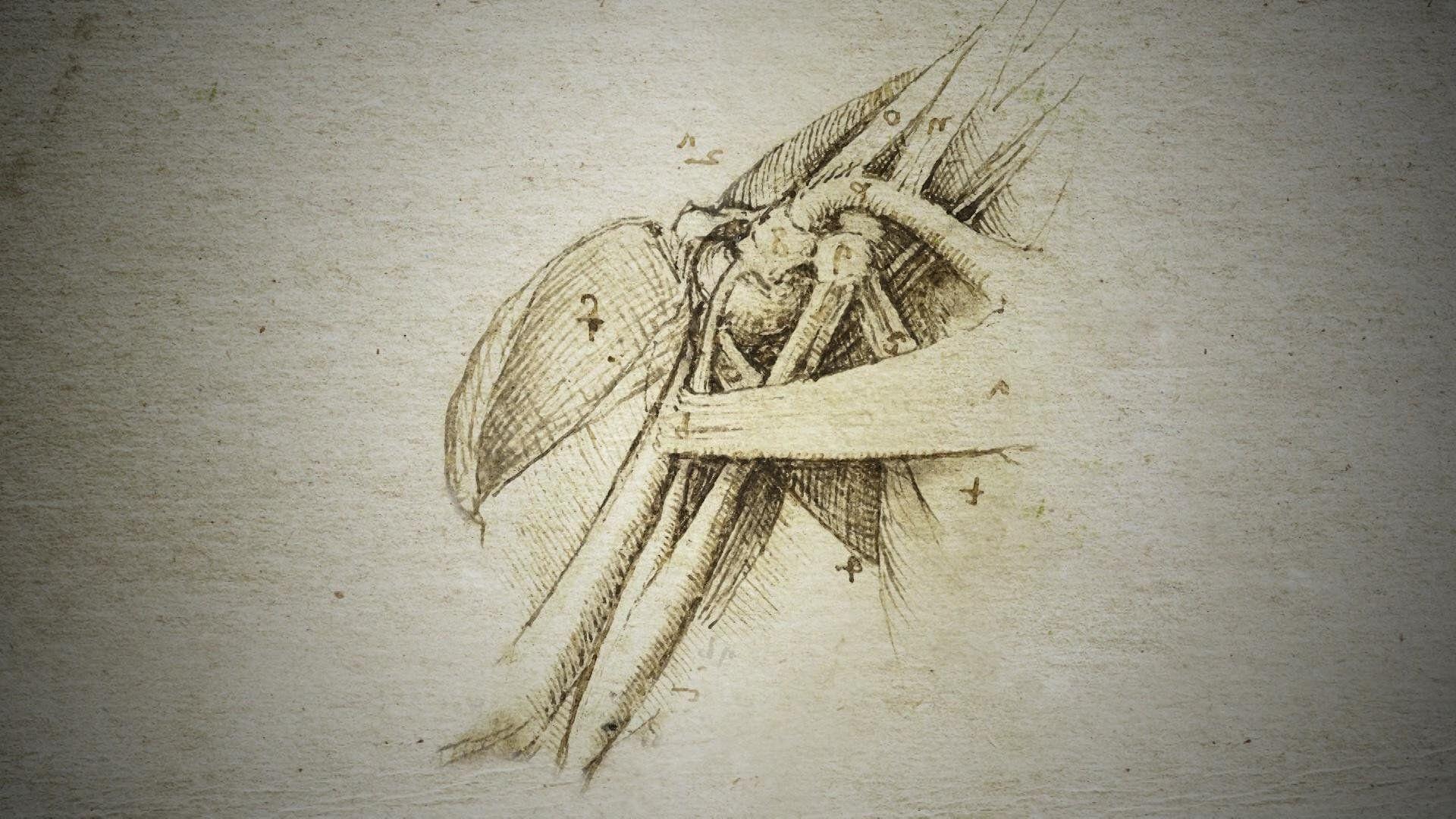 1920x1080 Decoding da Vinci